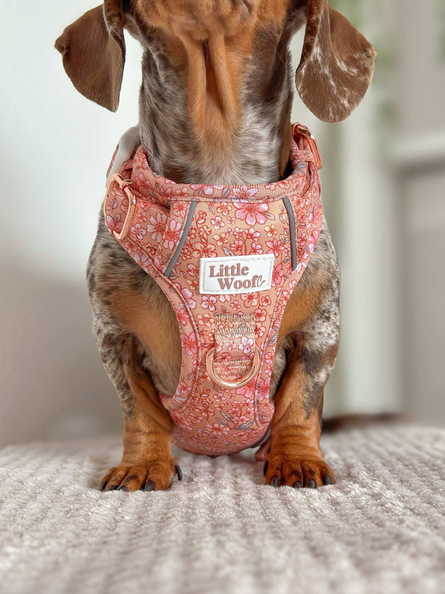 Rustic Rose - 3 click dog harness