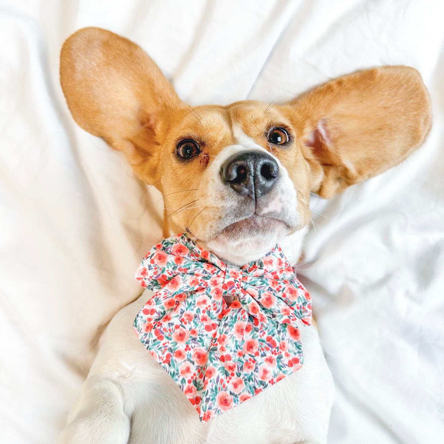 Winter berry floral sailor bow
