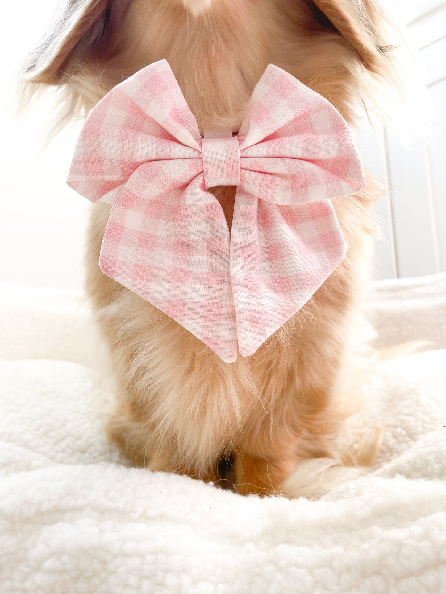 Blossom sailor bow