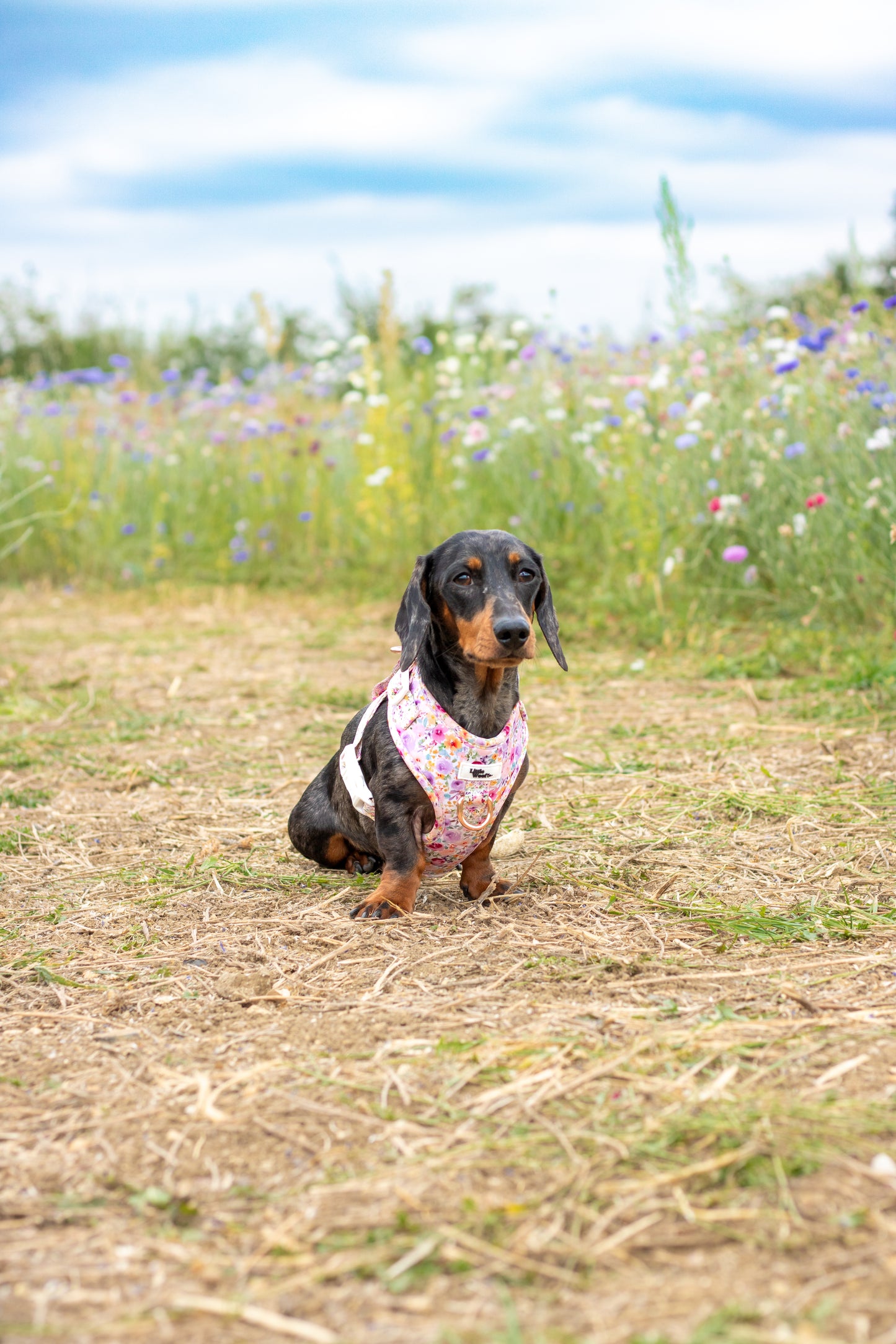 Pastel Bloom - adjustable harness