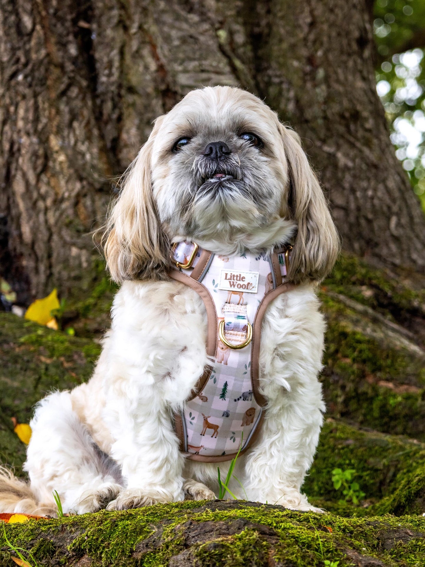 Woodland walkies - 3 click dog harness