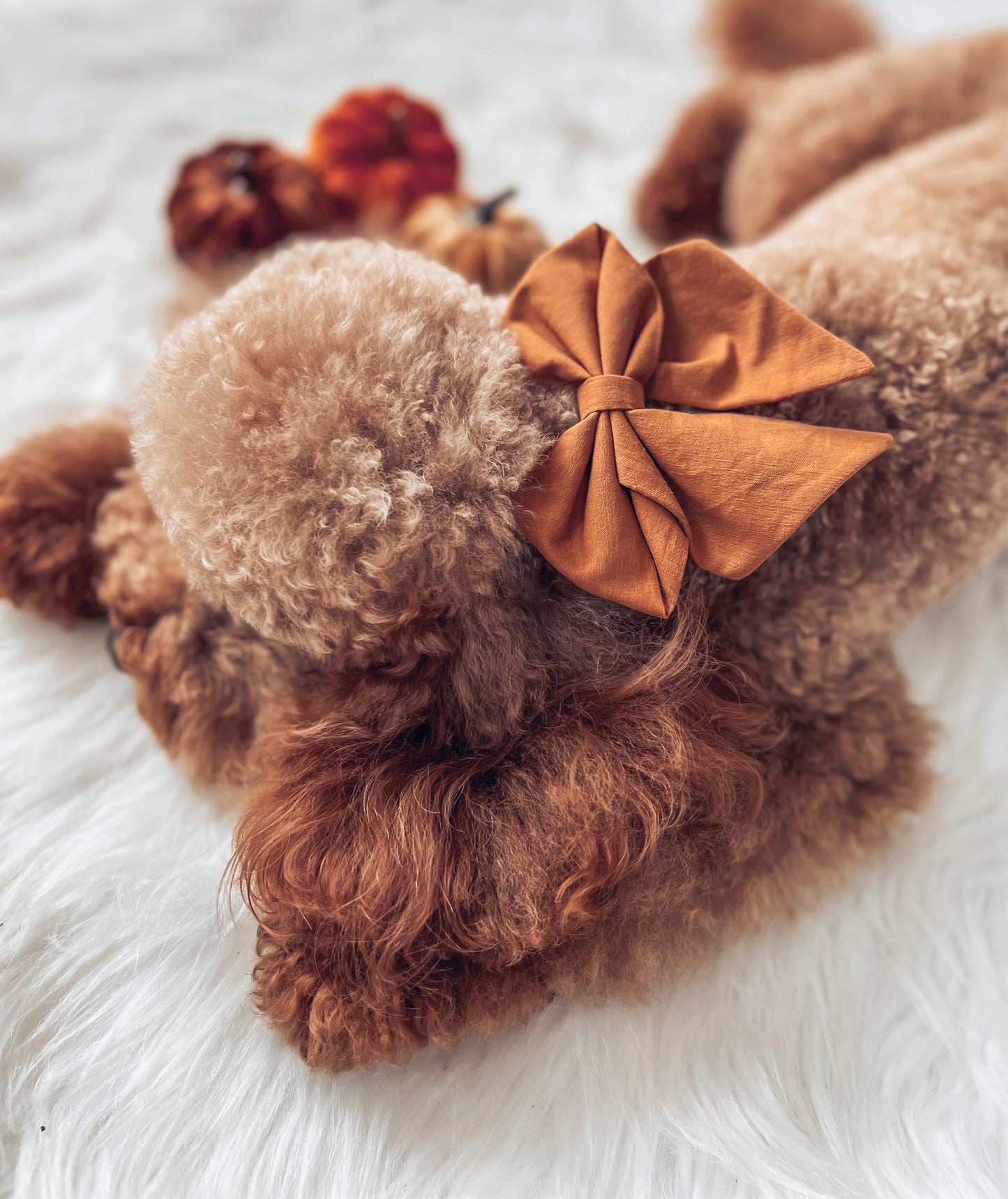 Ginger Sailor bow