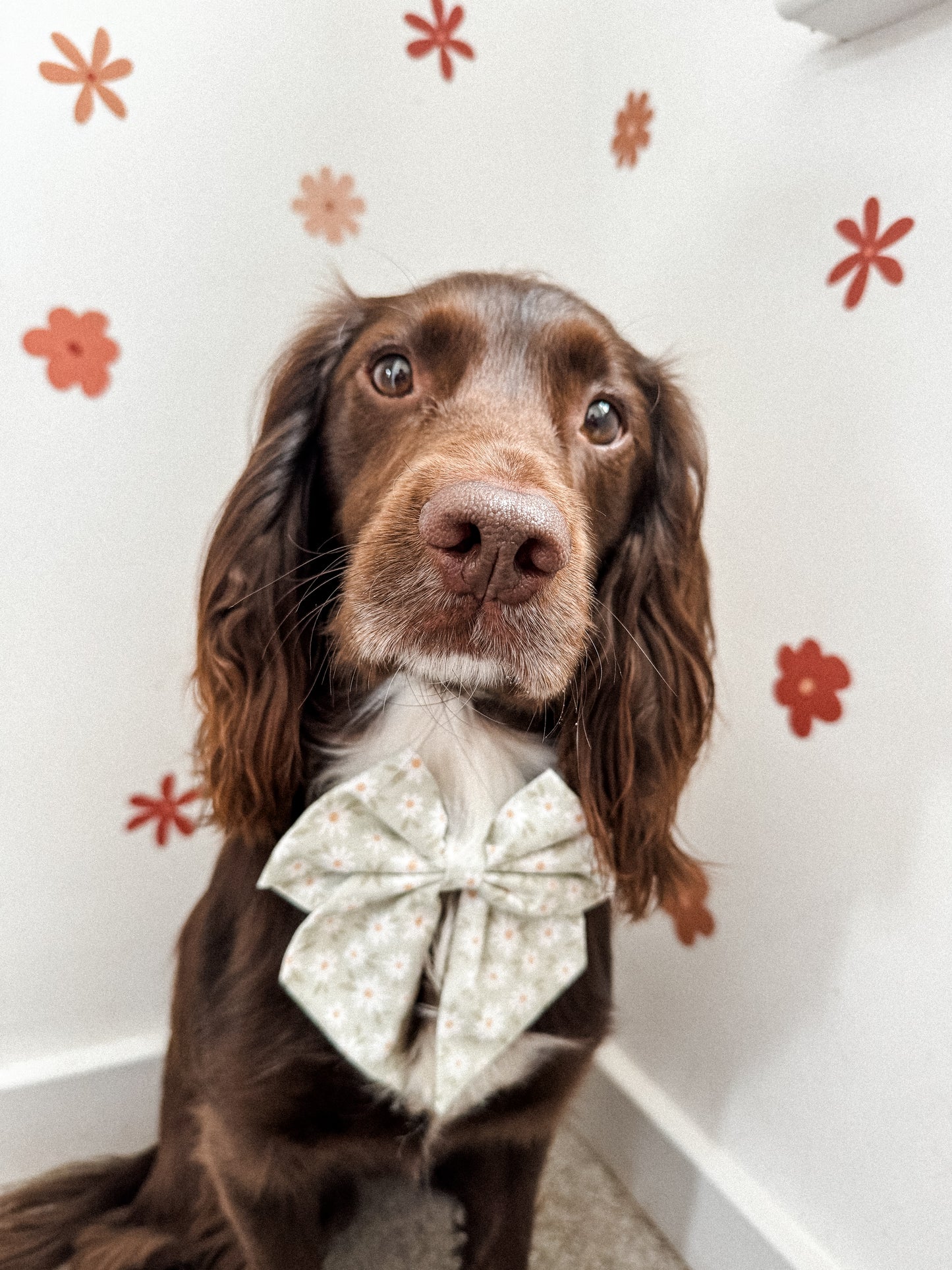 Daisy chain sailor bow