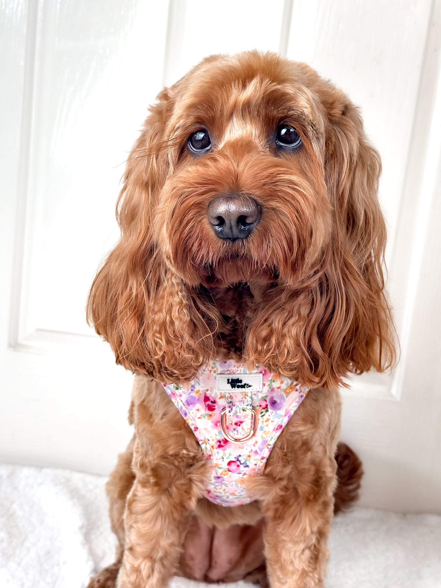 Pastel Bloom - adjustable harness