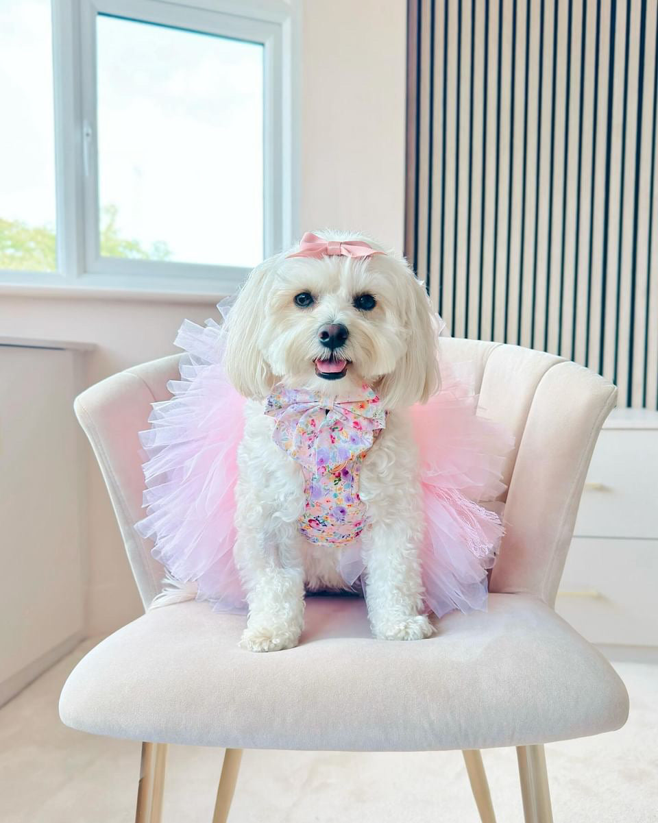 Pastel Bloom - adjustable harness