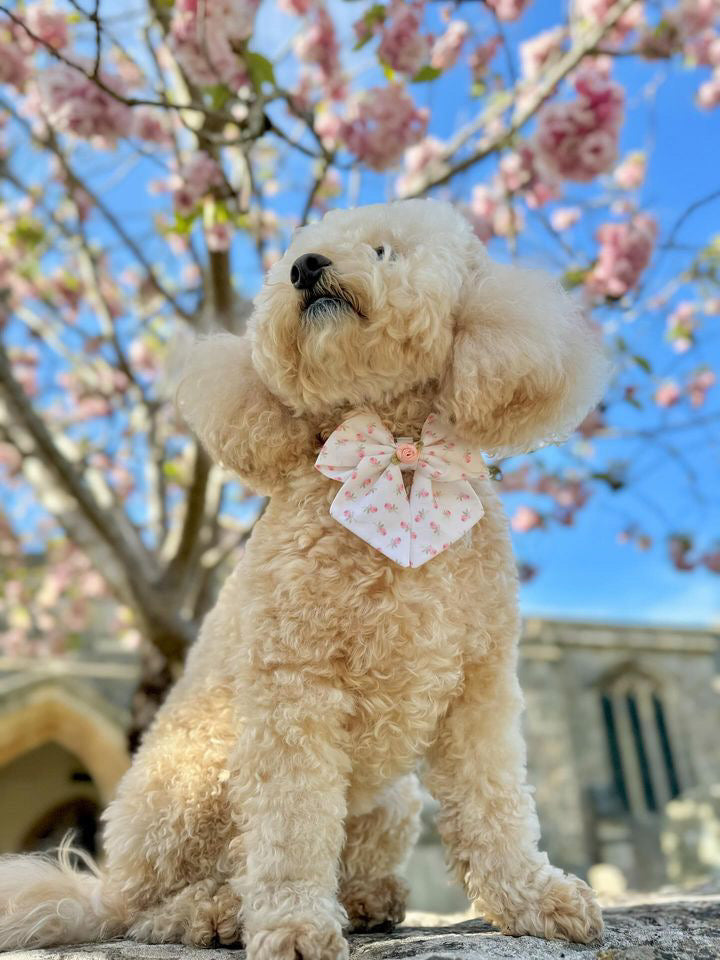 Rosalie sailor bow