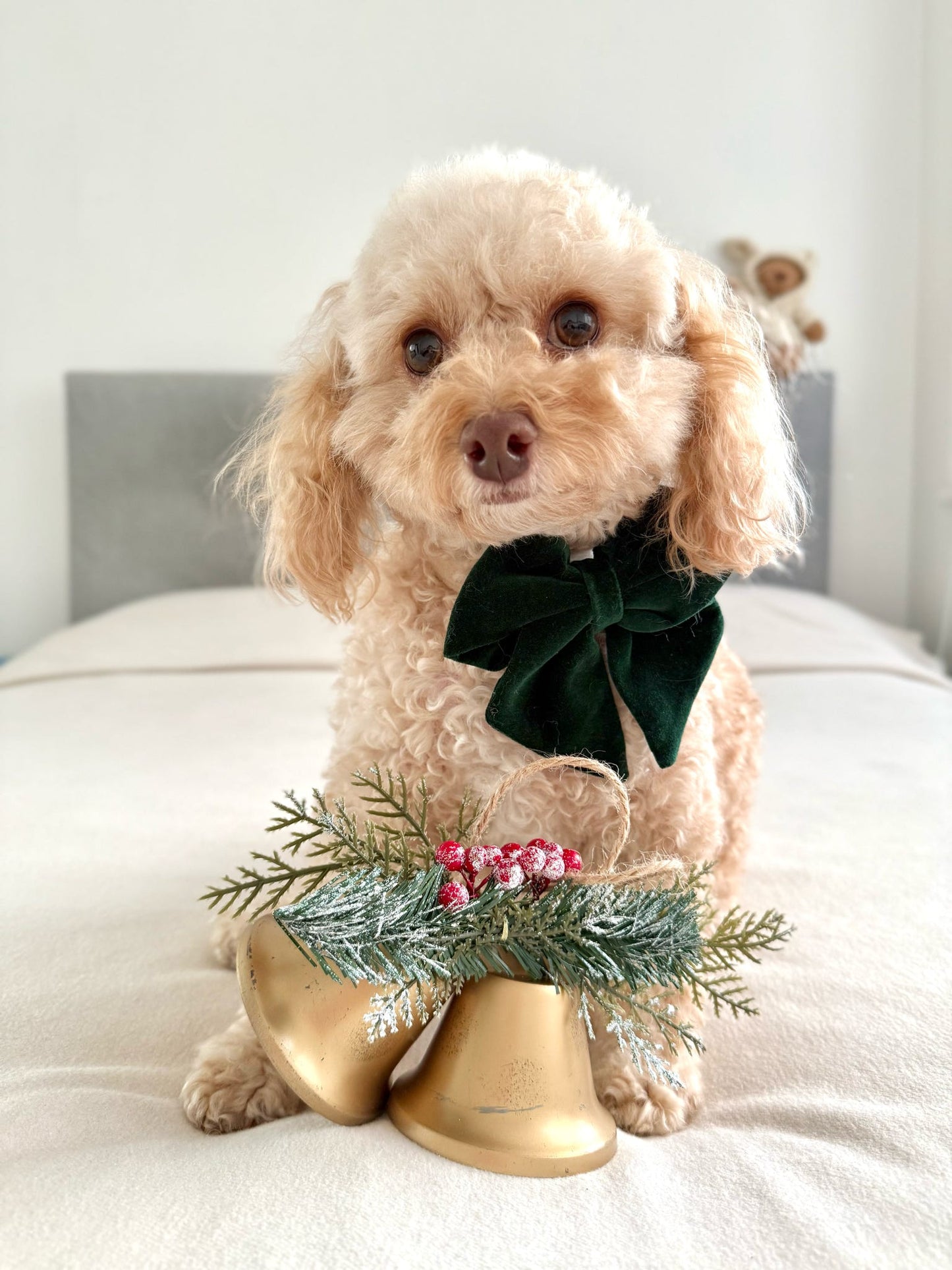 Green velvet sailor bow