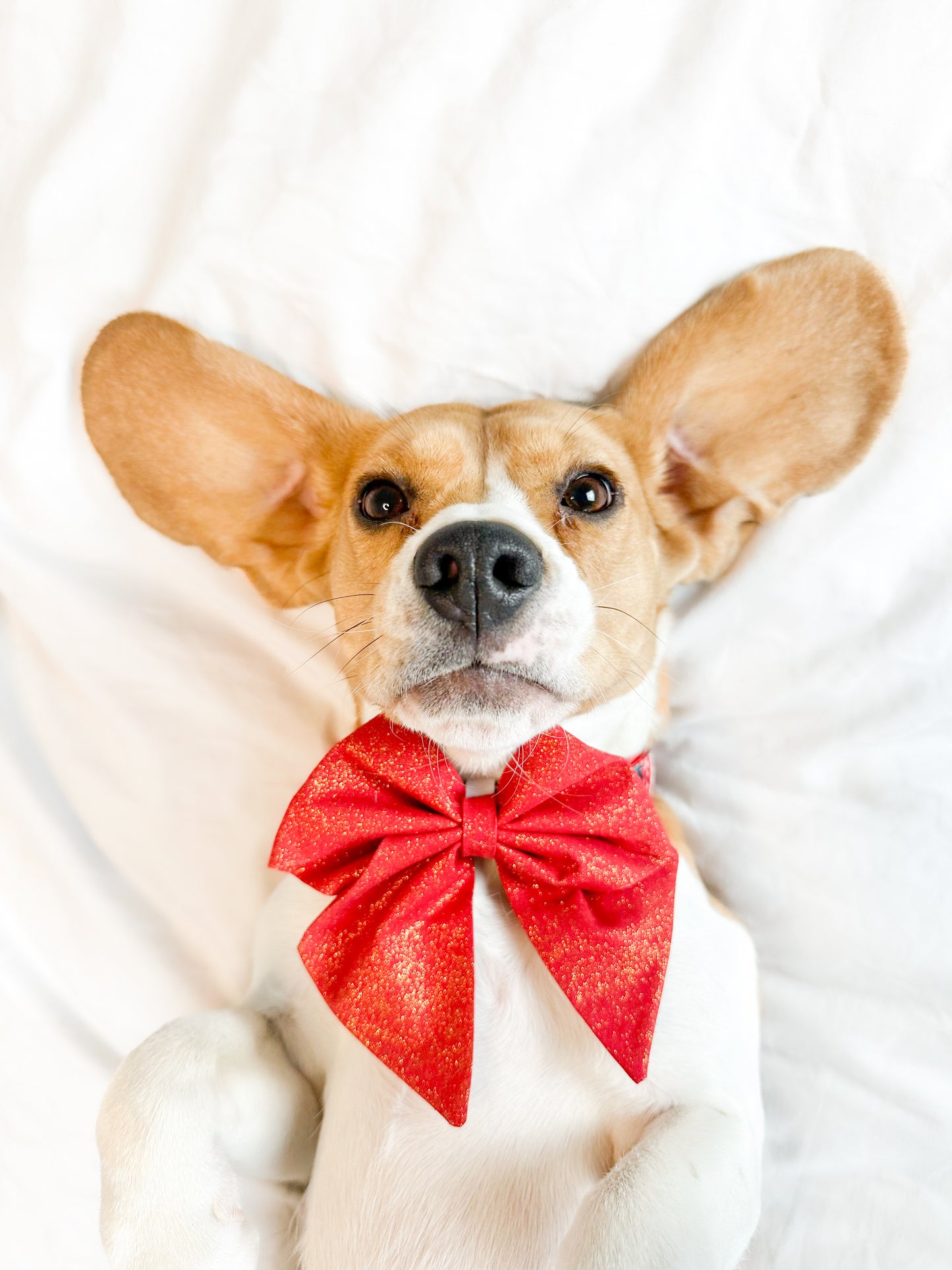 Holly Red glitter sailor bow