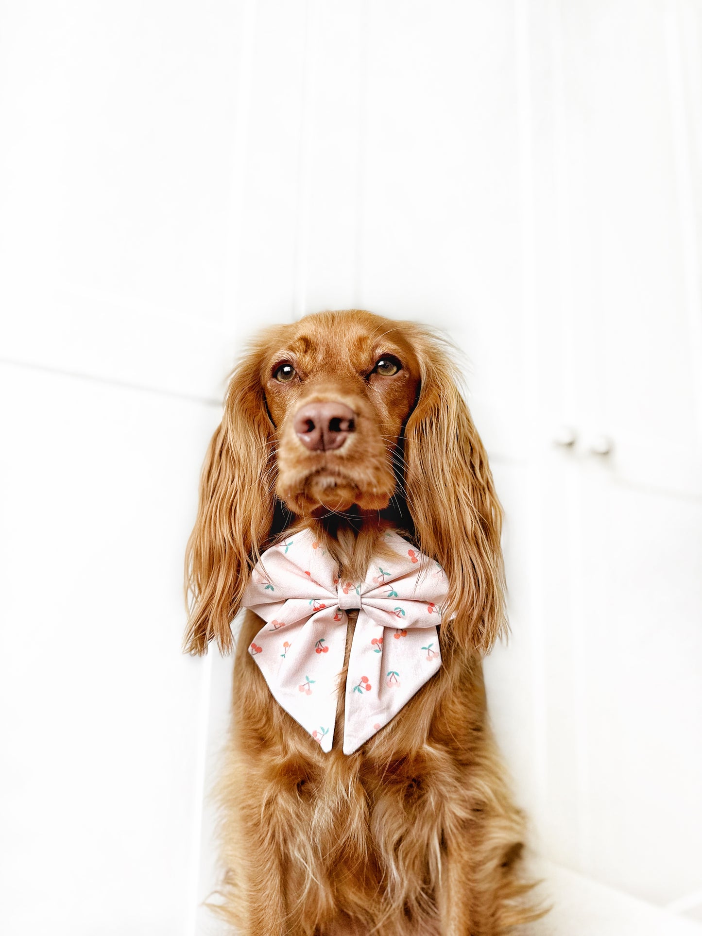 Cherry sweet sailor bow