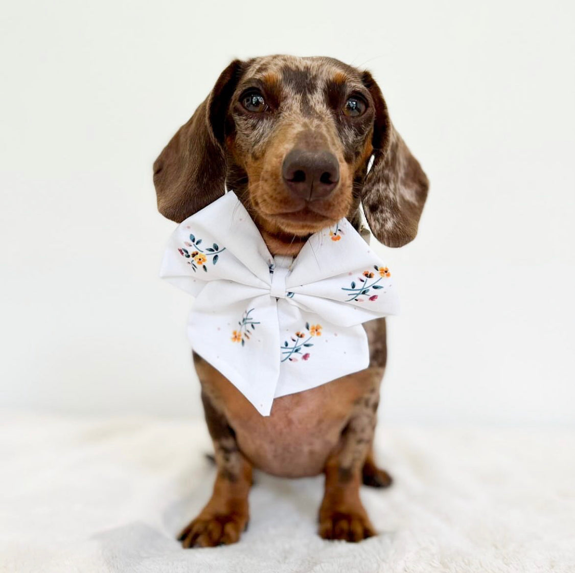 Flo - Floral sailor bow