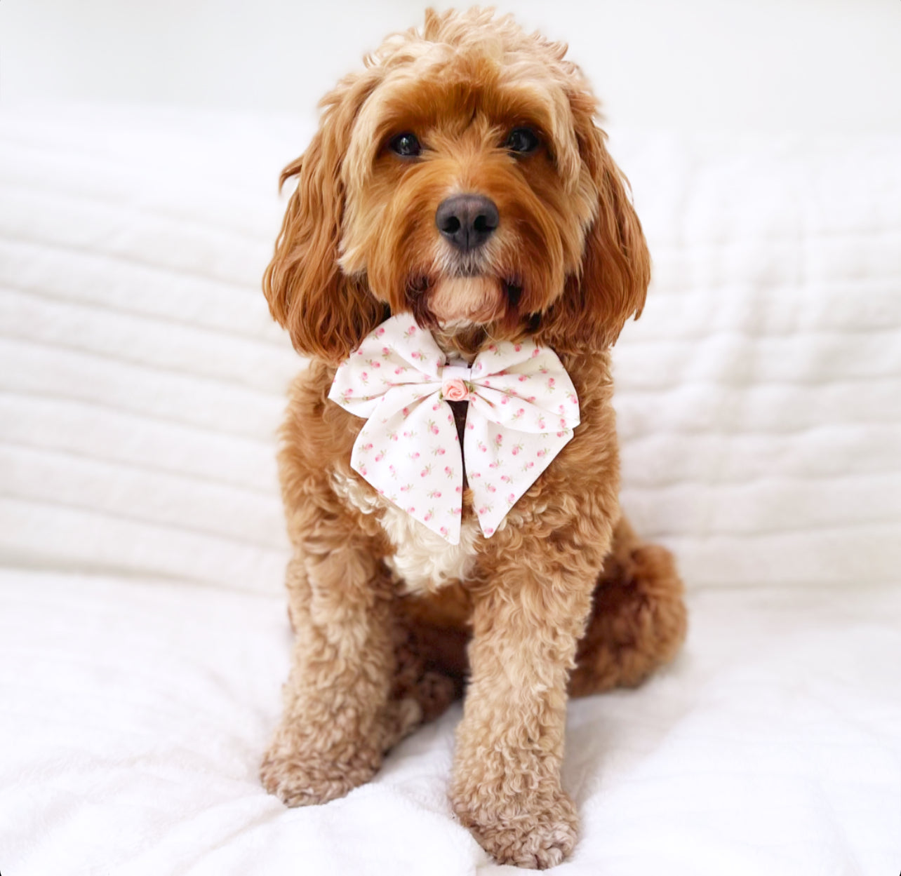 Rosalie sailor bow