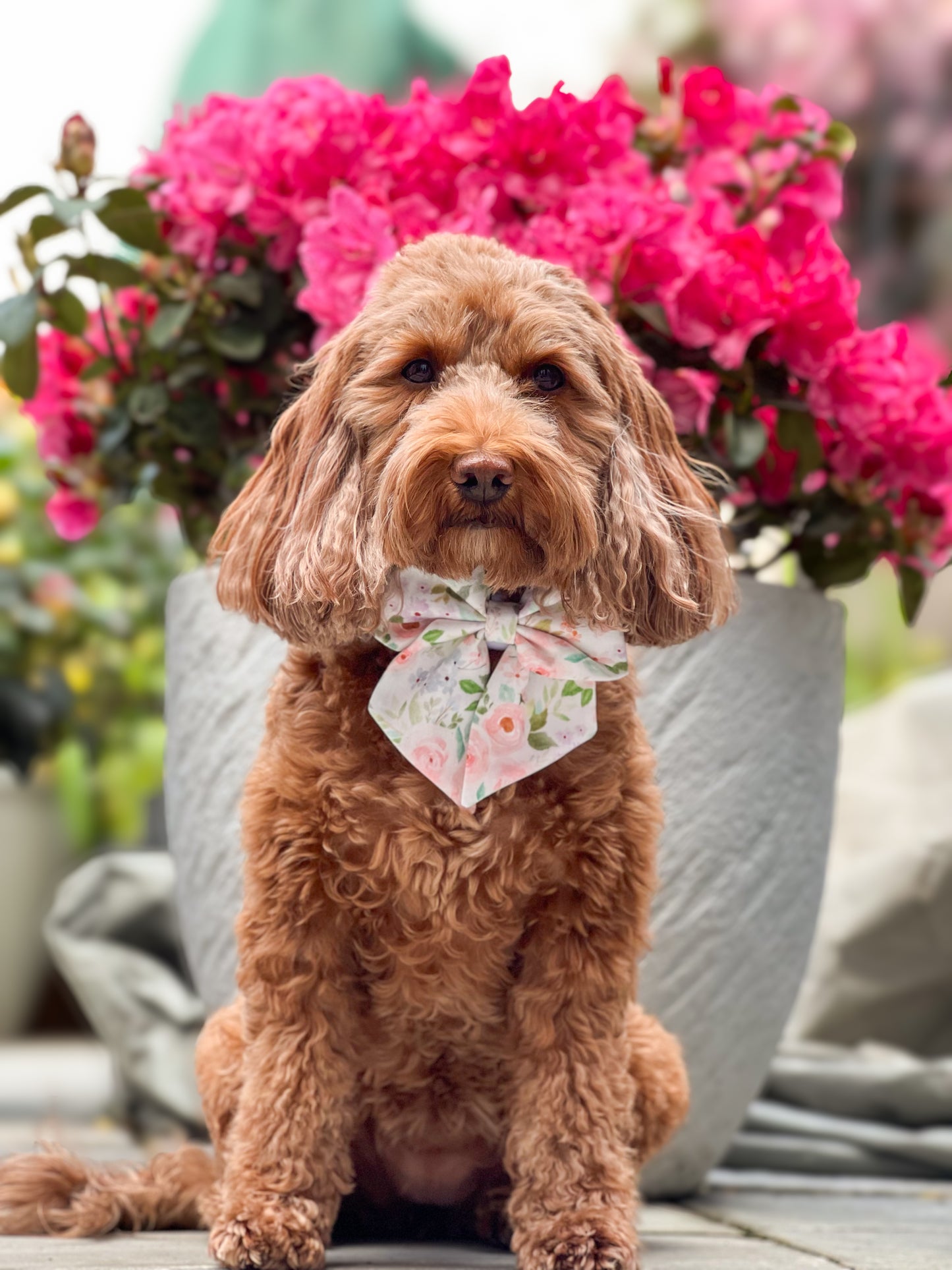 Florentina sailor bow