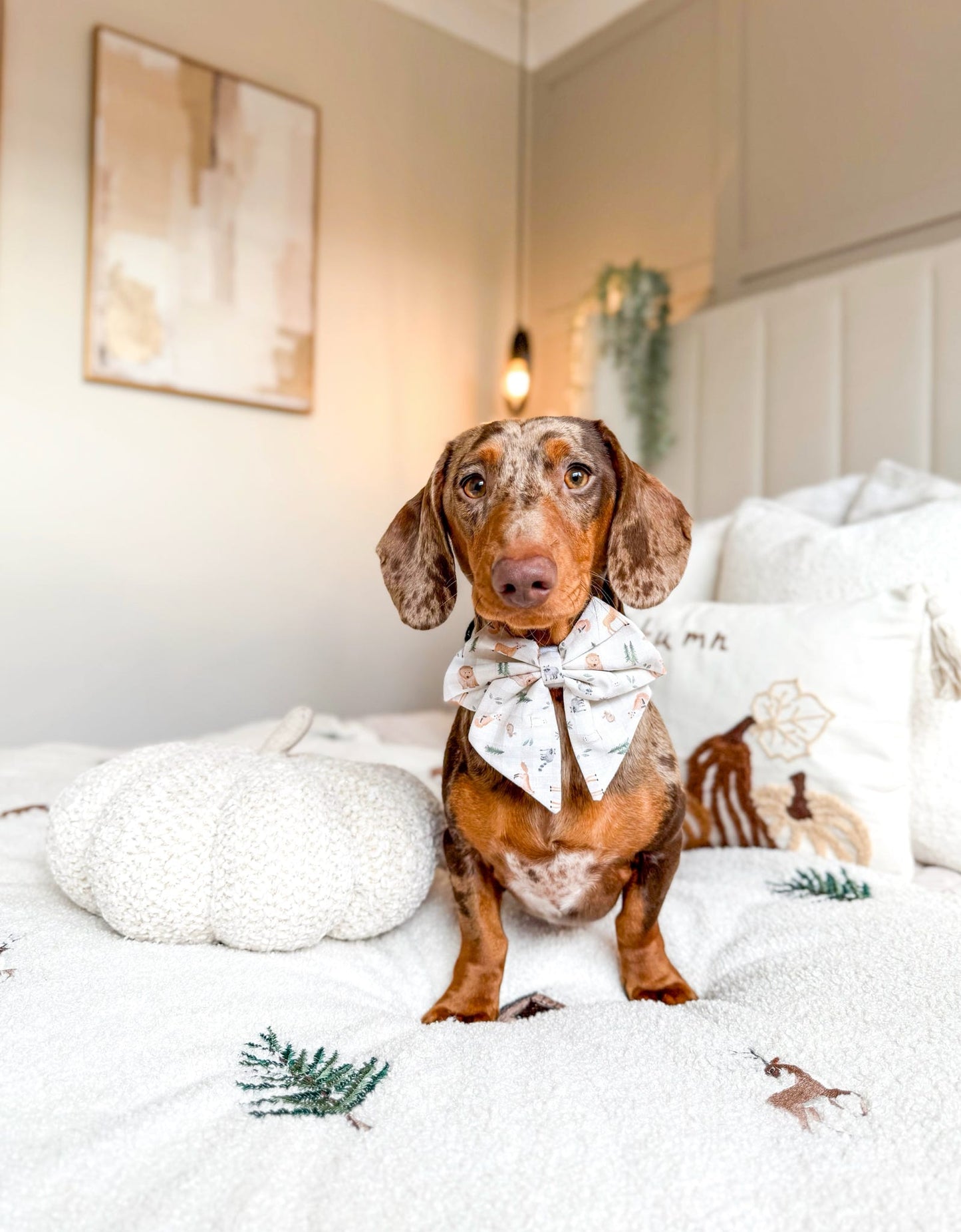 Woodland walkies sailor bow