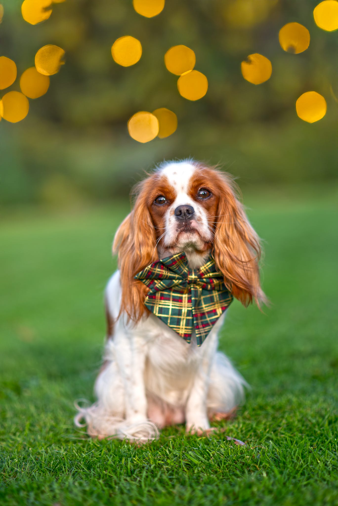 Green Tartan metallic sailor bow
