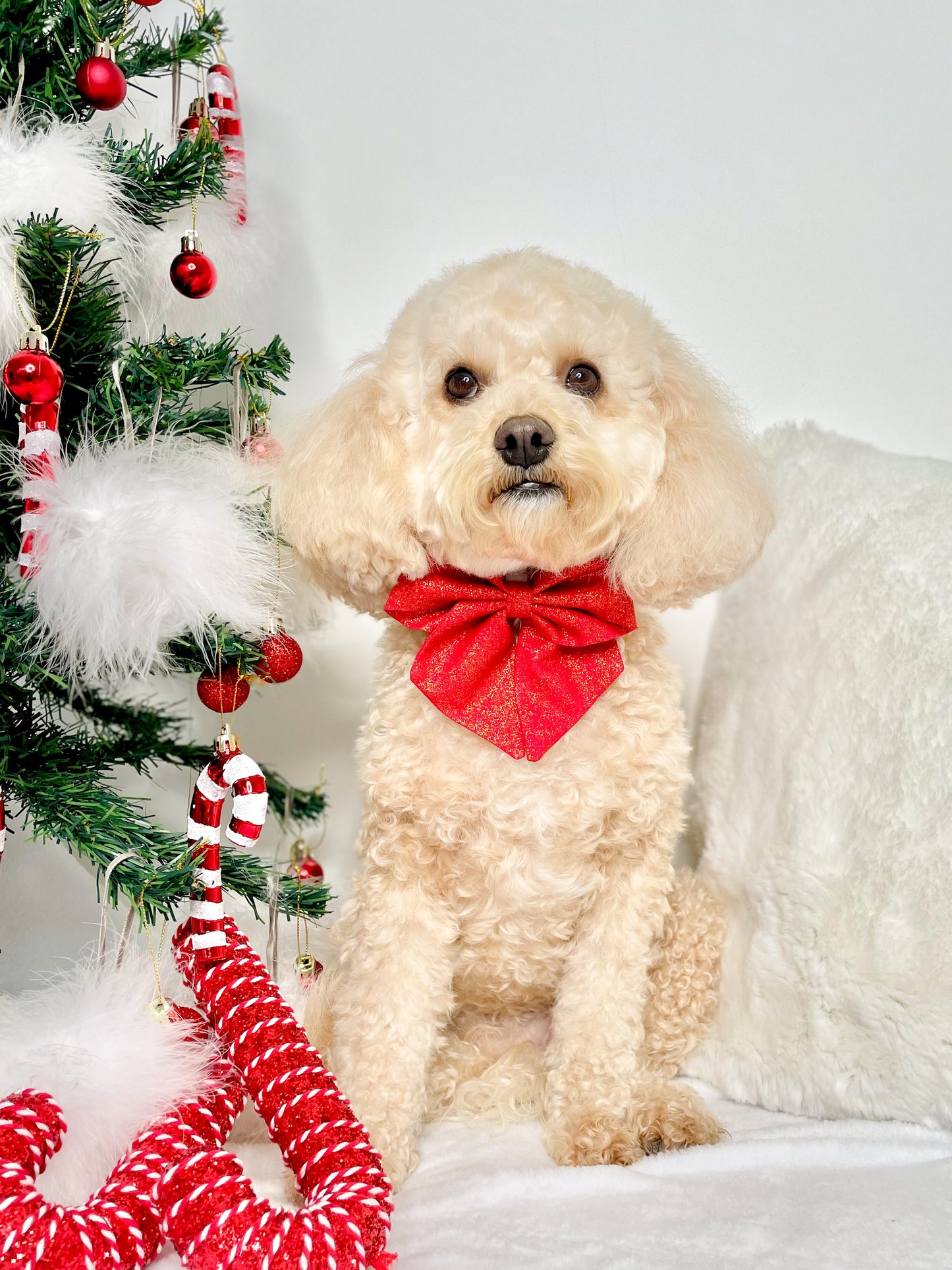 Holly Red glitter sailor bow