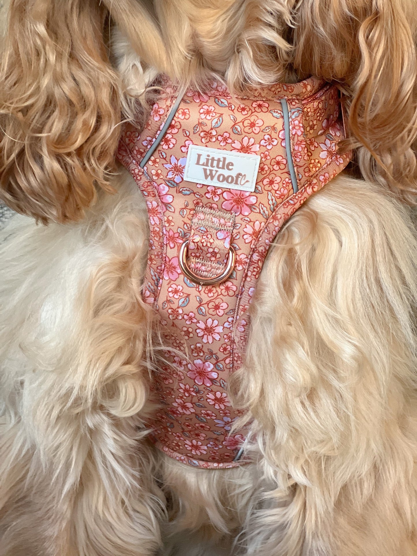 Rustic Rose - 3 click dog harness