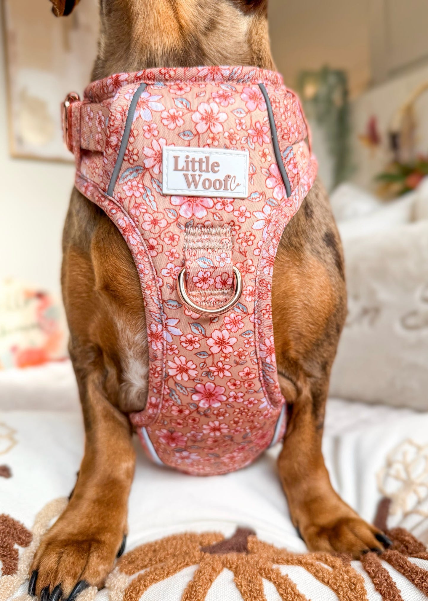 Rustic Rose - 3 click dog harness