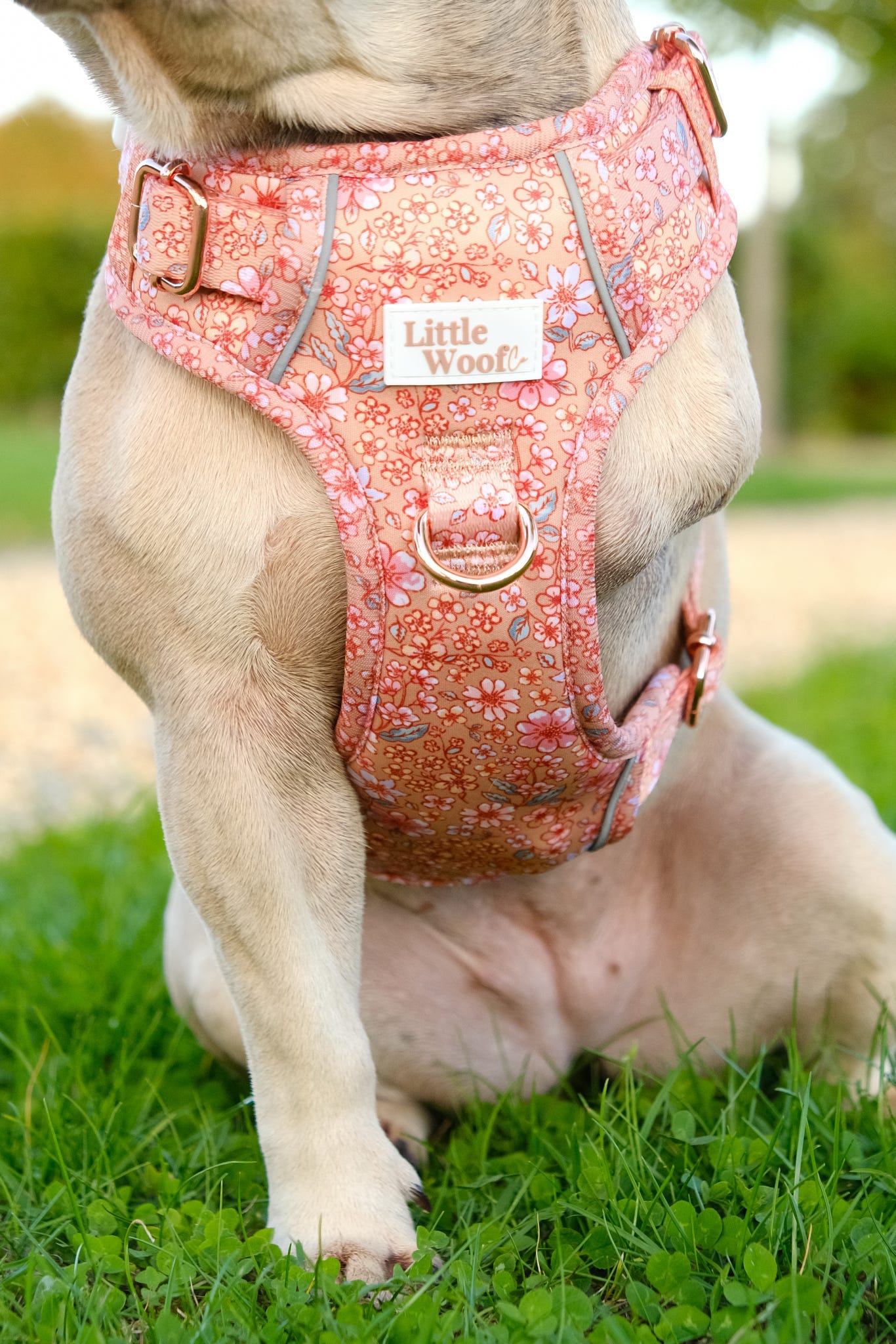 Rustic Rose - 3 click dog harness