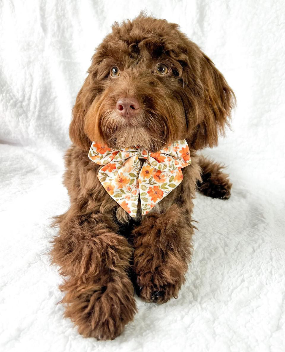 Fall Florals Sailor bow