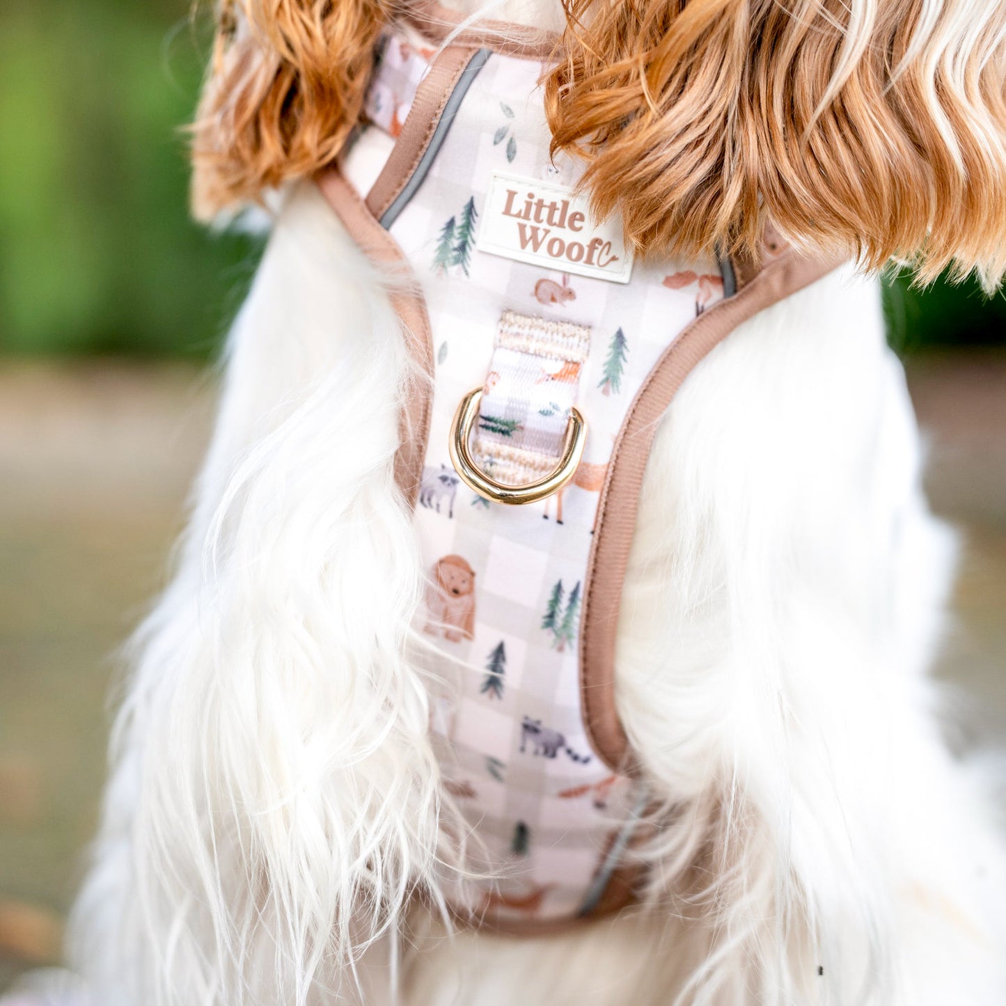Woodland walkies - 3 click dog harness