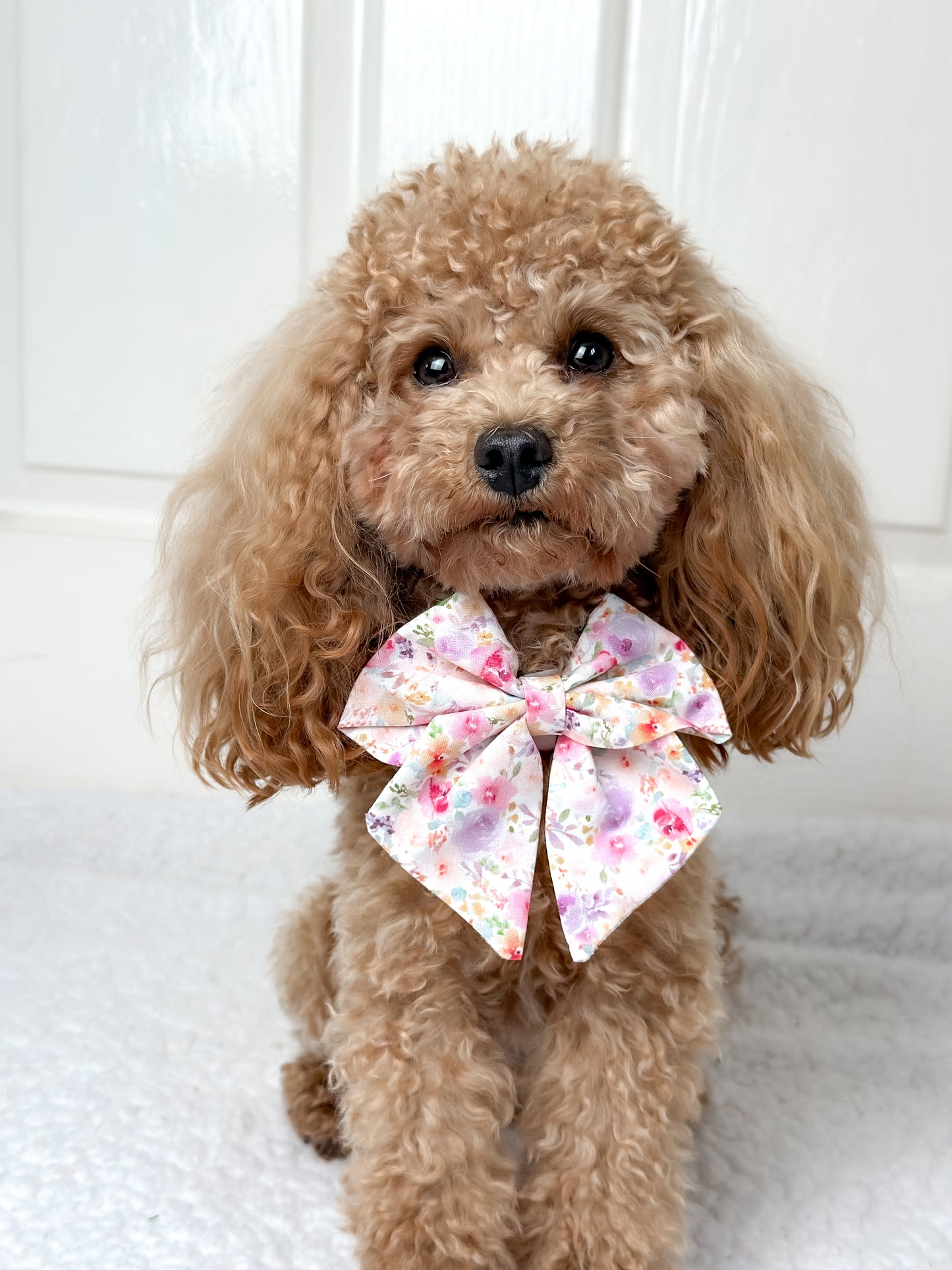 Pastel Bloom - Sailor bow