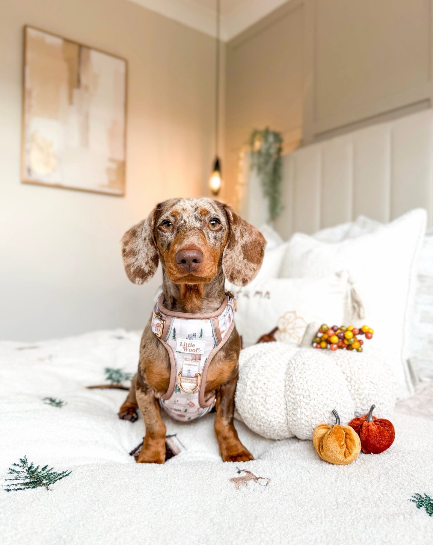 Woodland walkies - 3 click dog harness