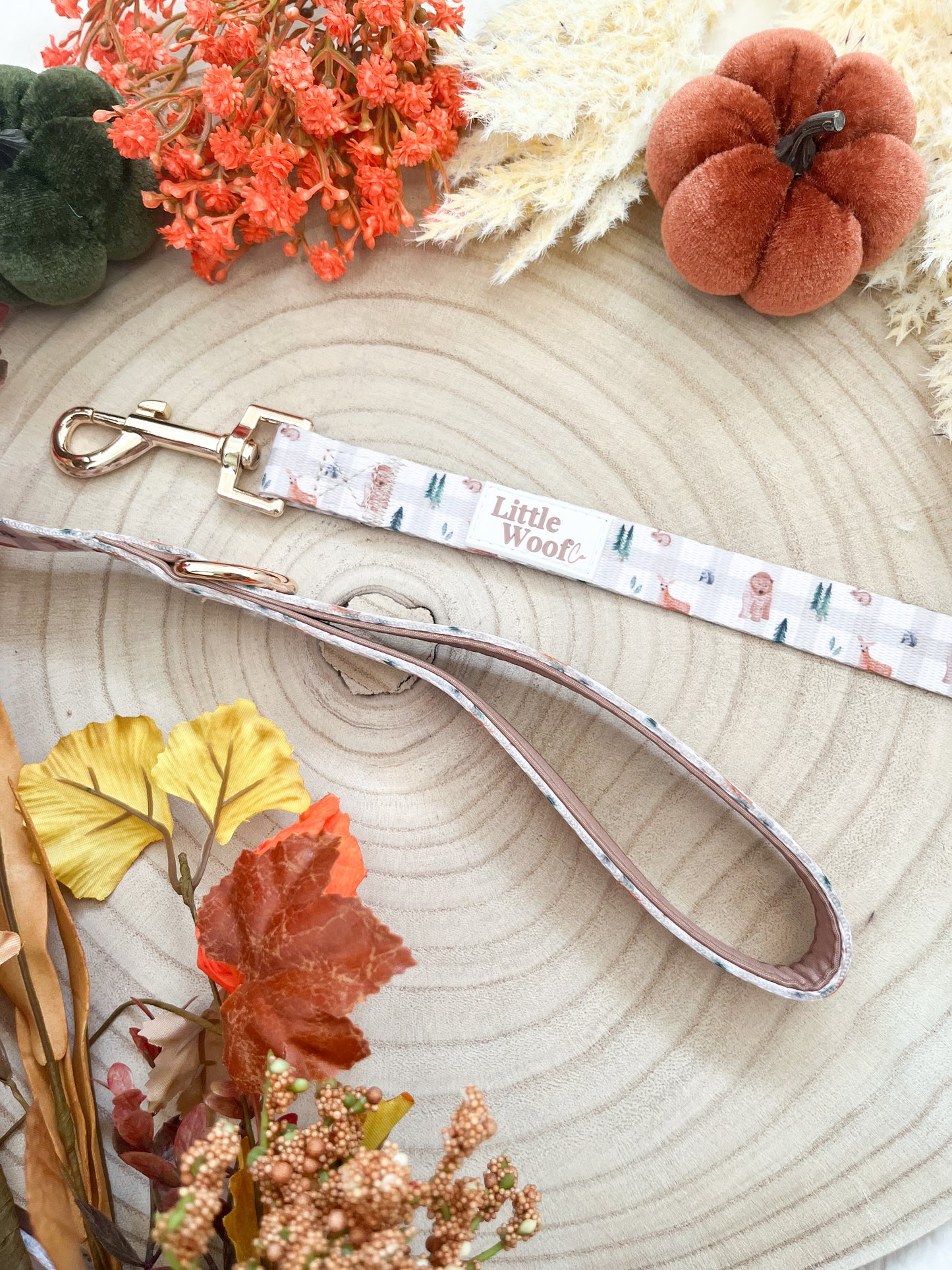 Woodland walkies - 4ft lead