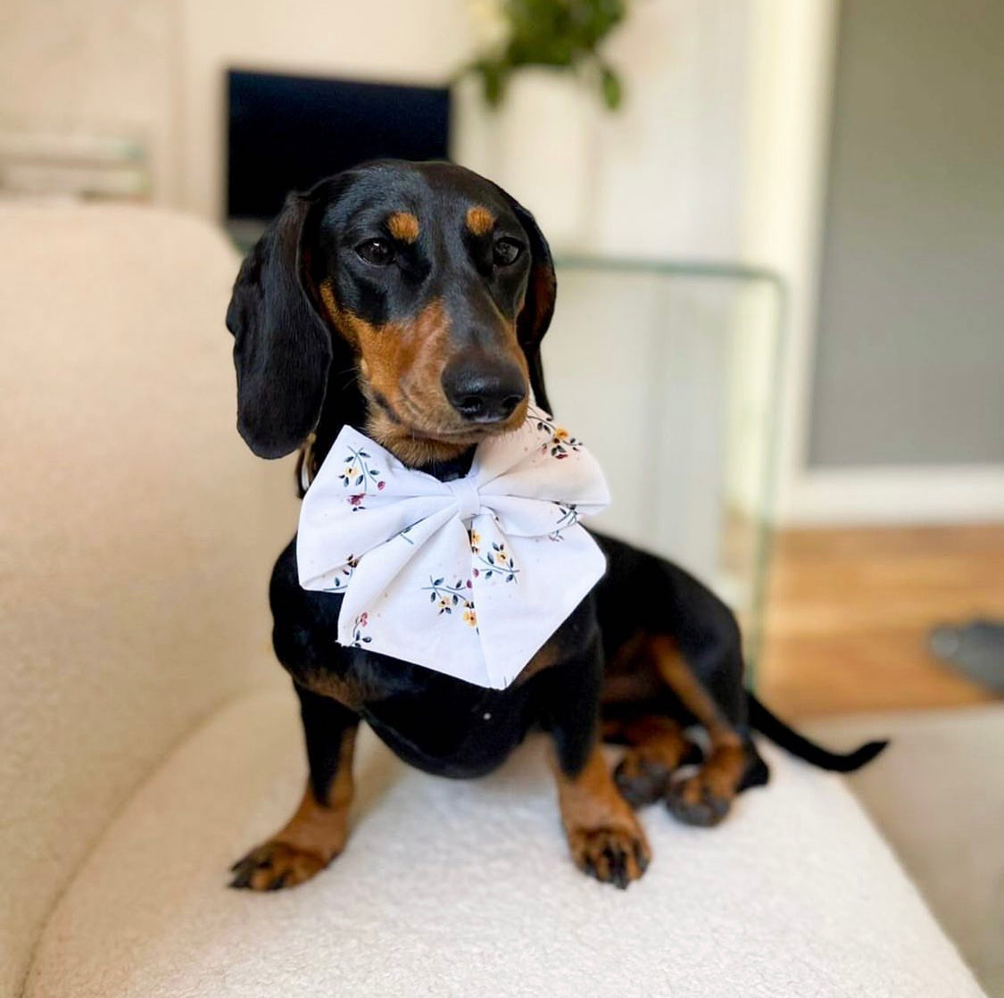 Flo - Floral sailor bow