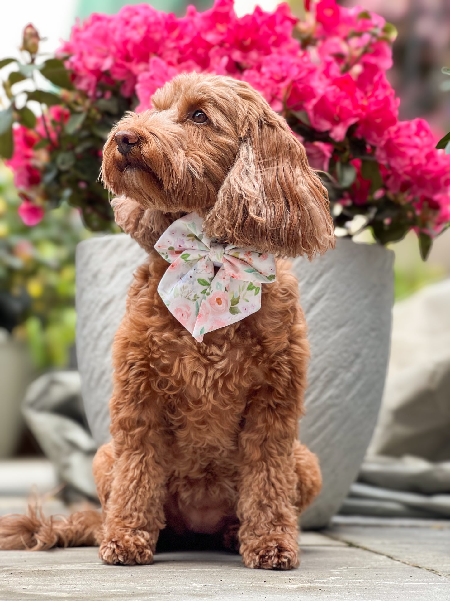 Florentina sailor bow