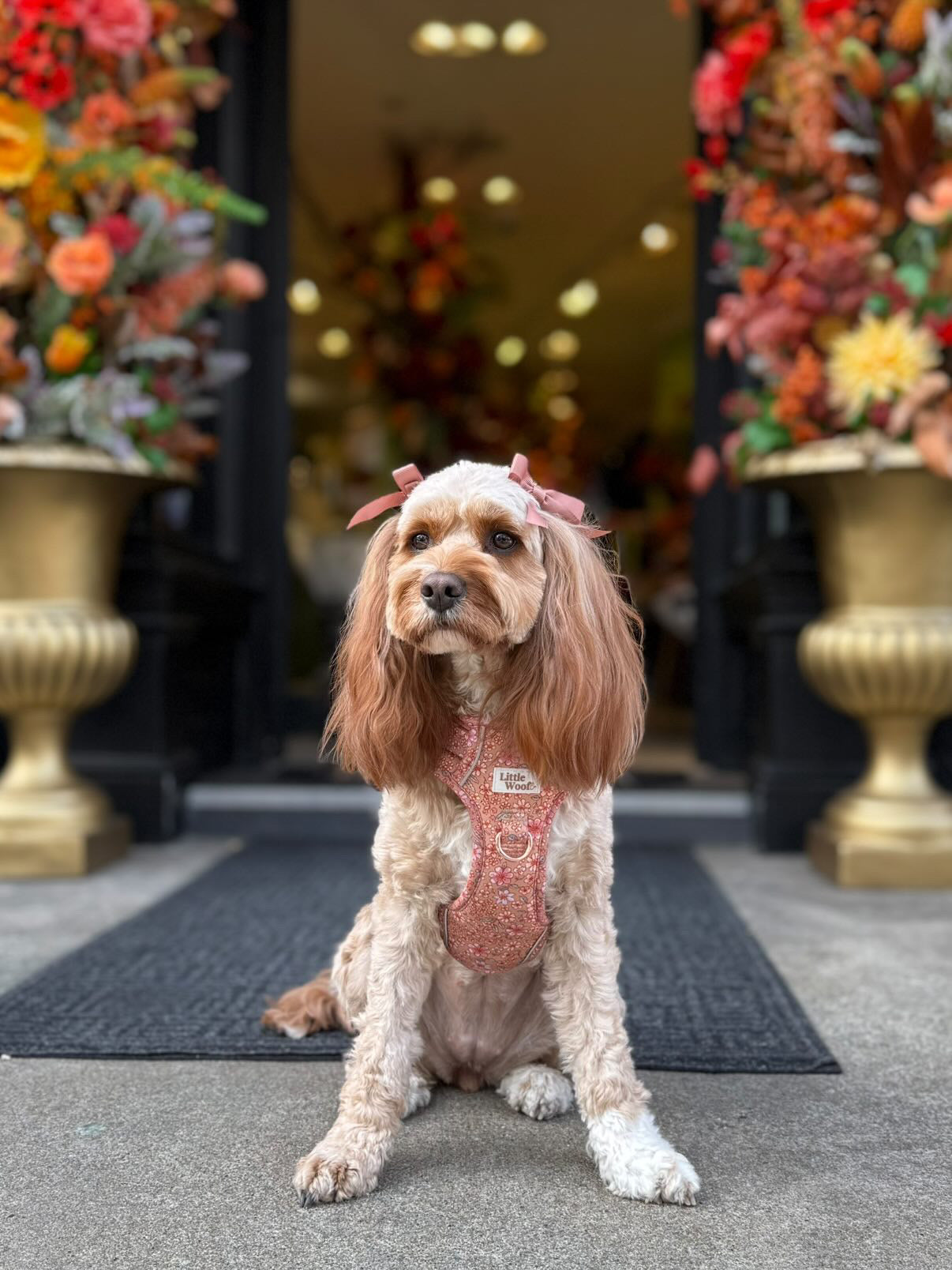 Rustic Rose - 3 click dog harness