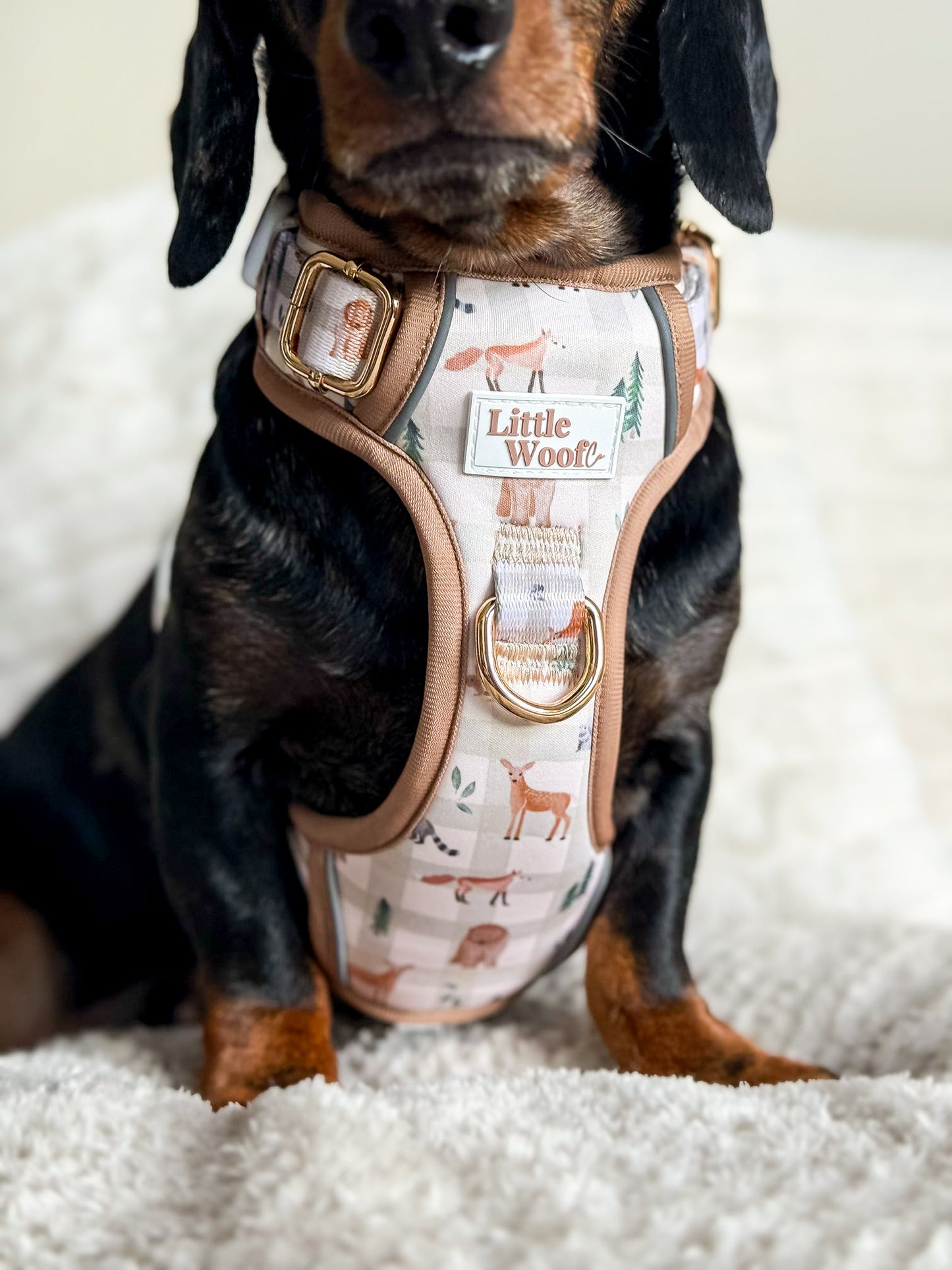 Woodland walkies - 3 click dog harness
