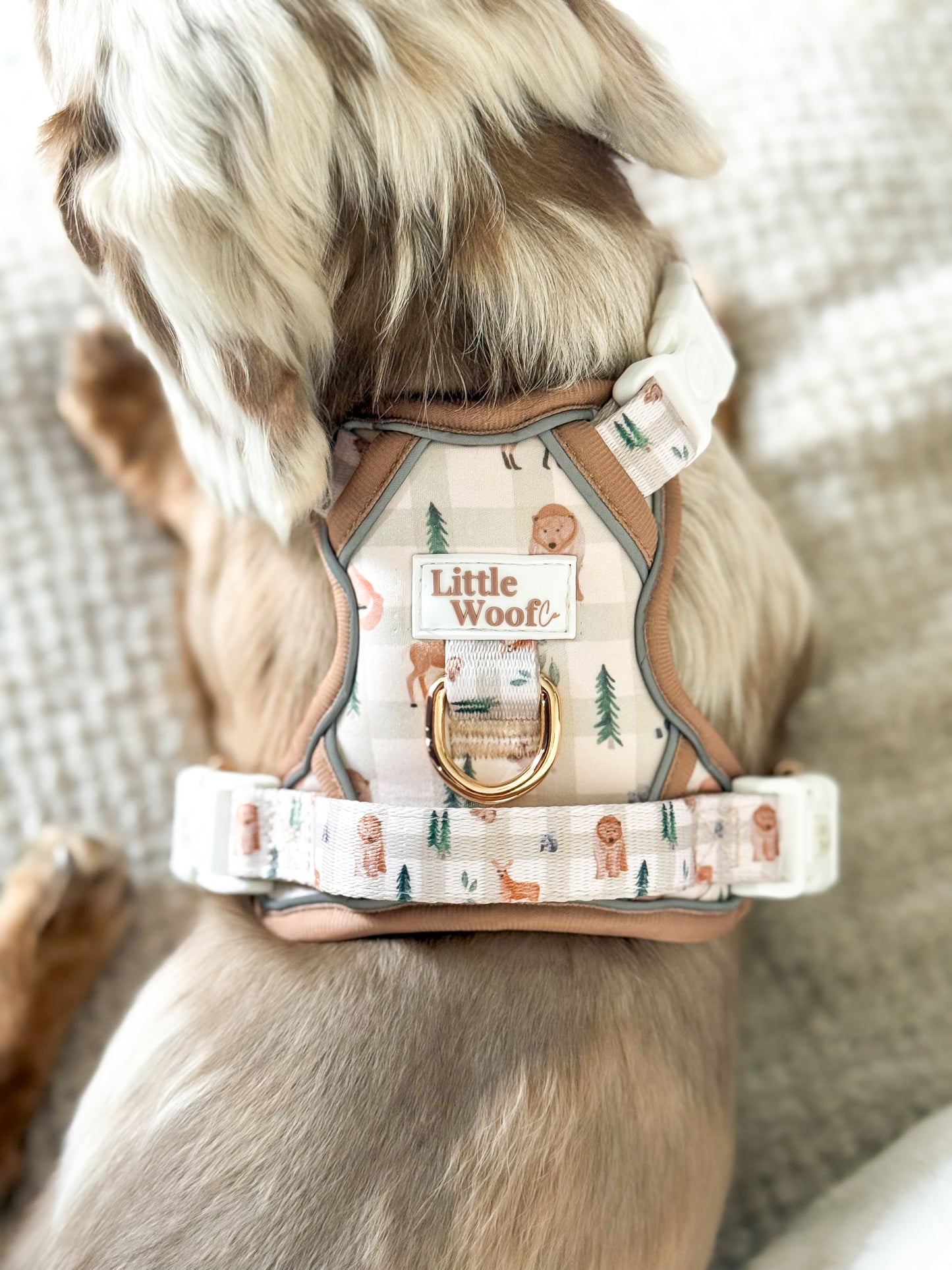 Woodland walkies - 3 click dog harness