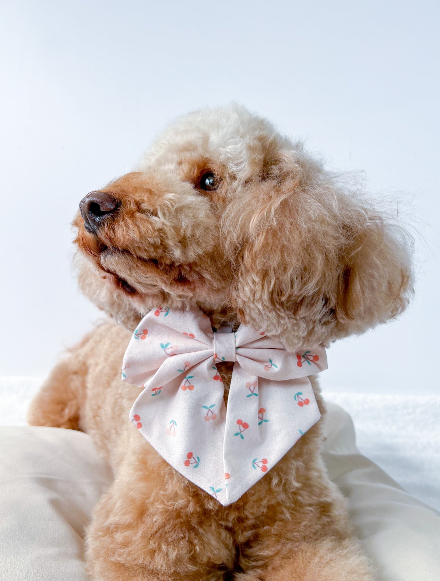 Cherry sweet sailor bow
