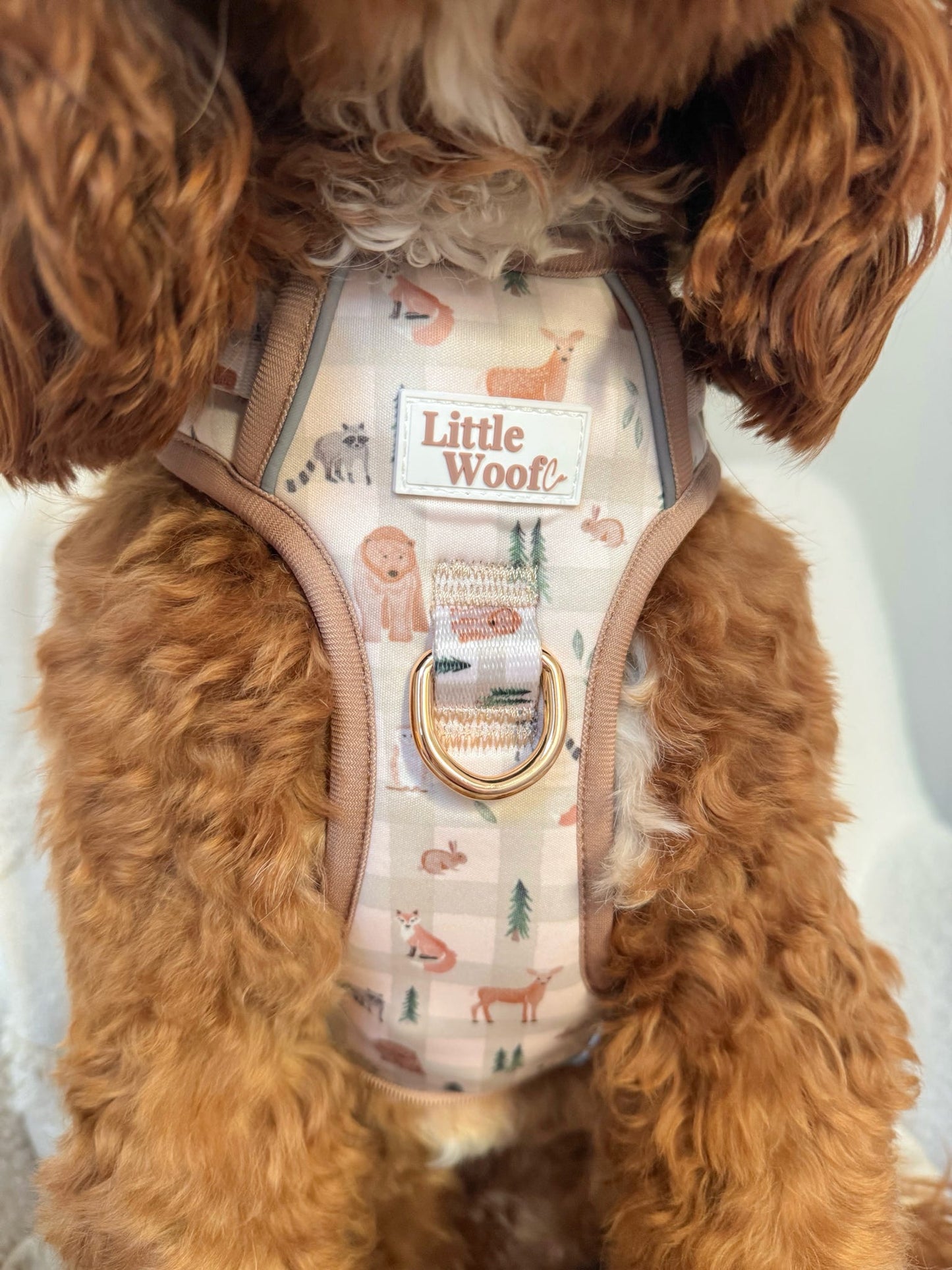 Woodland walkies - 3 click dog harness