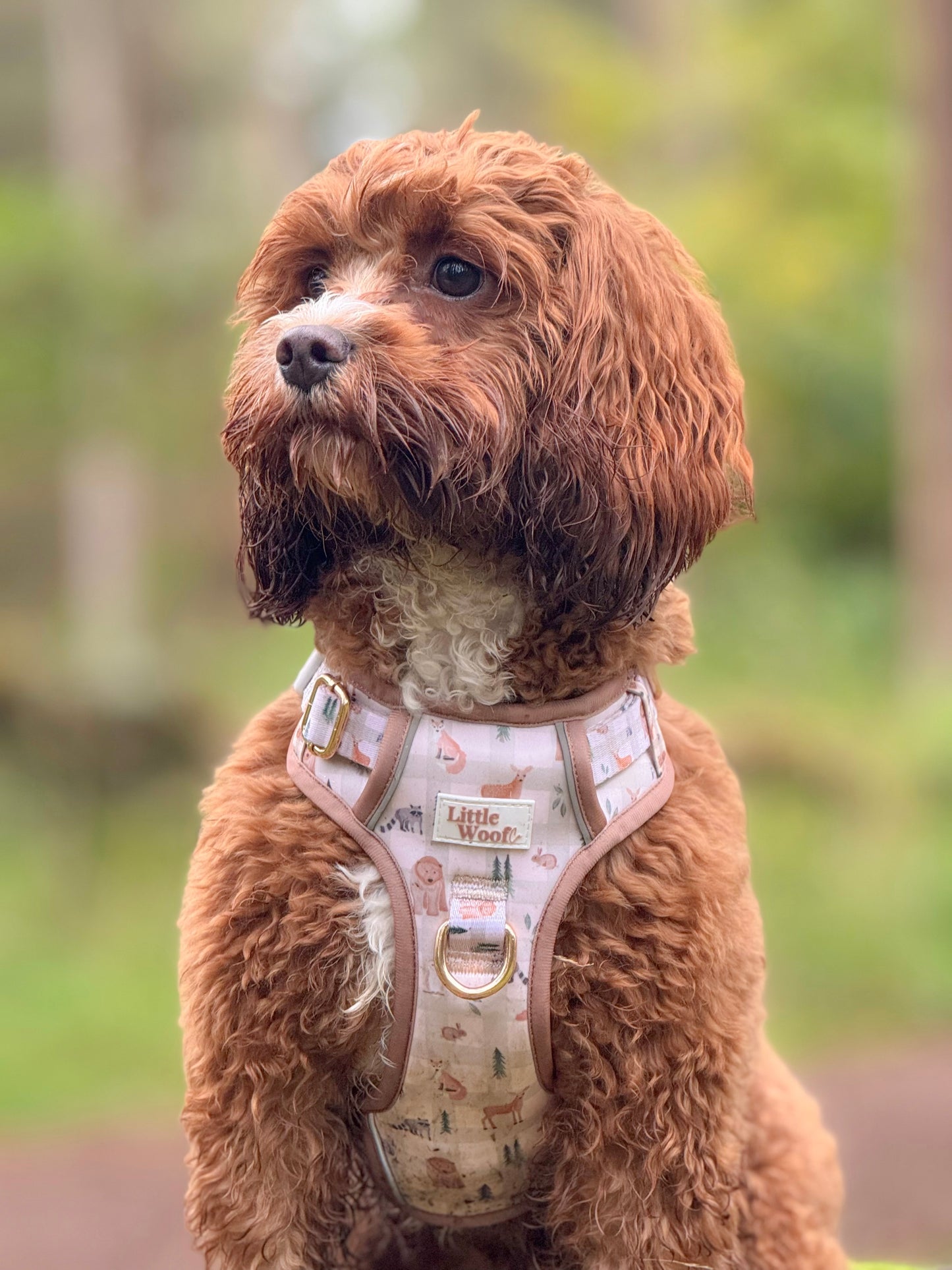 Woodland walkies - 3 click dog harness