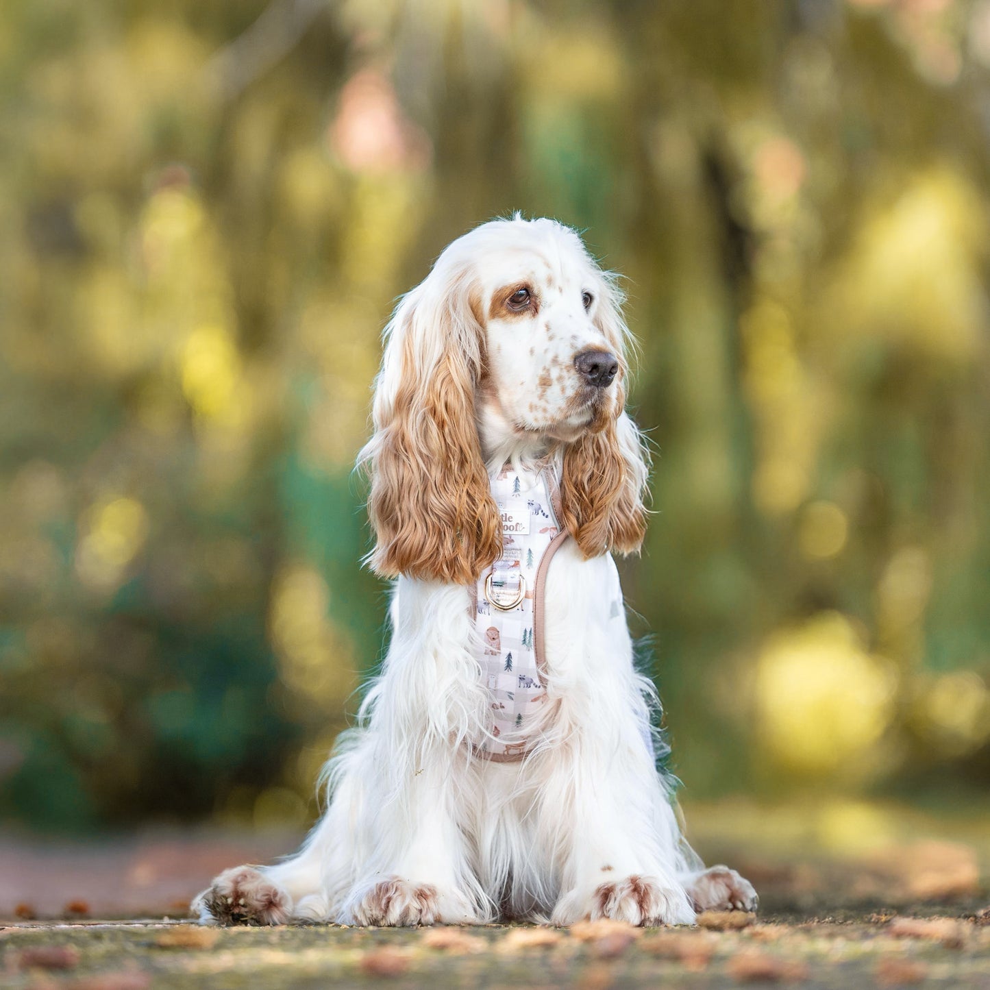 Woodland walkies - 3 click dog harness
