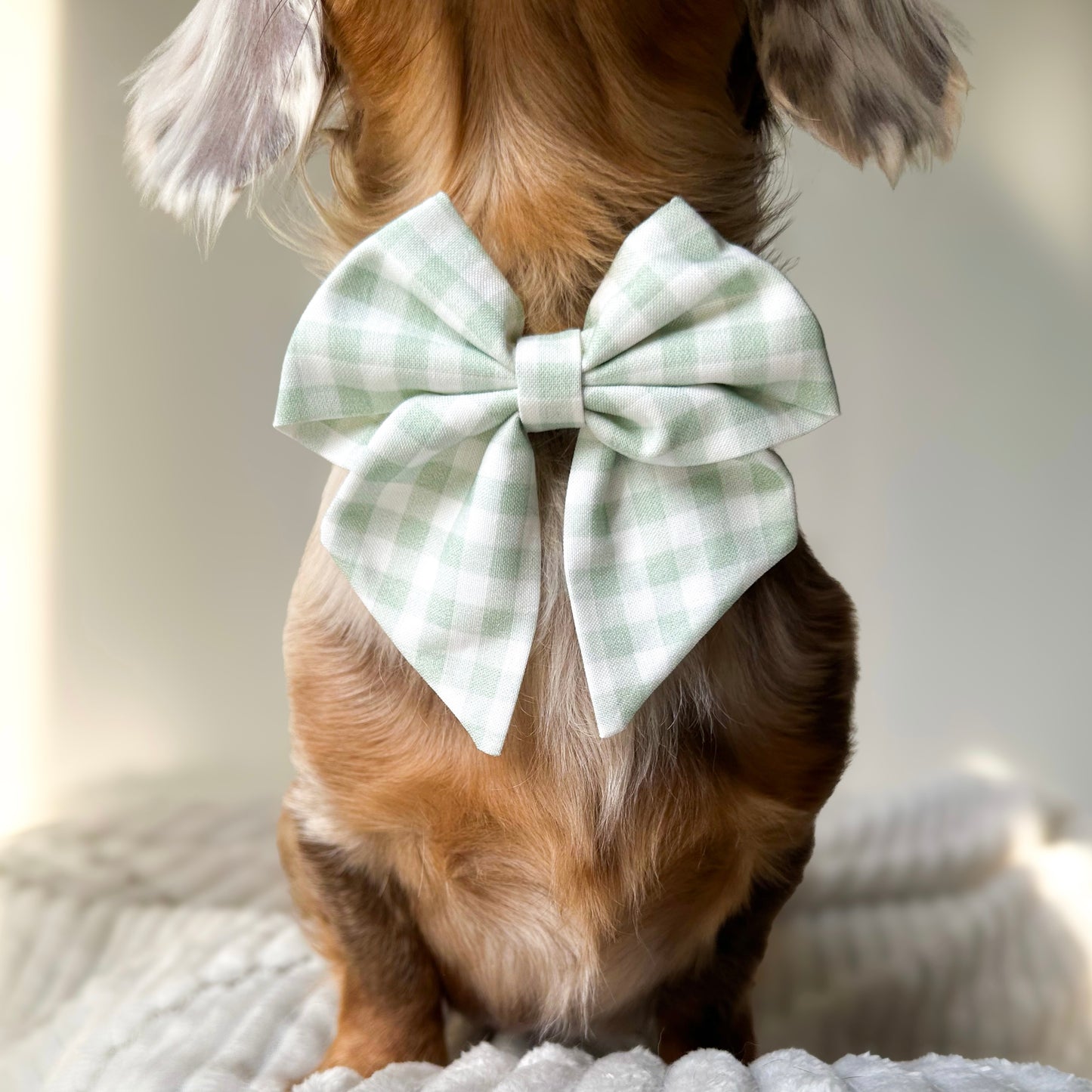 Evergreen check sailor bow