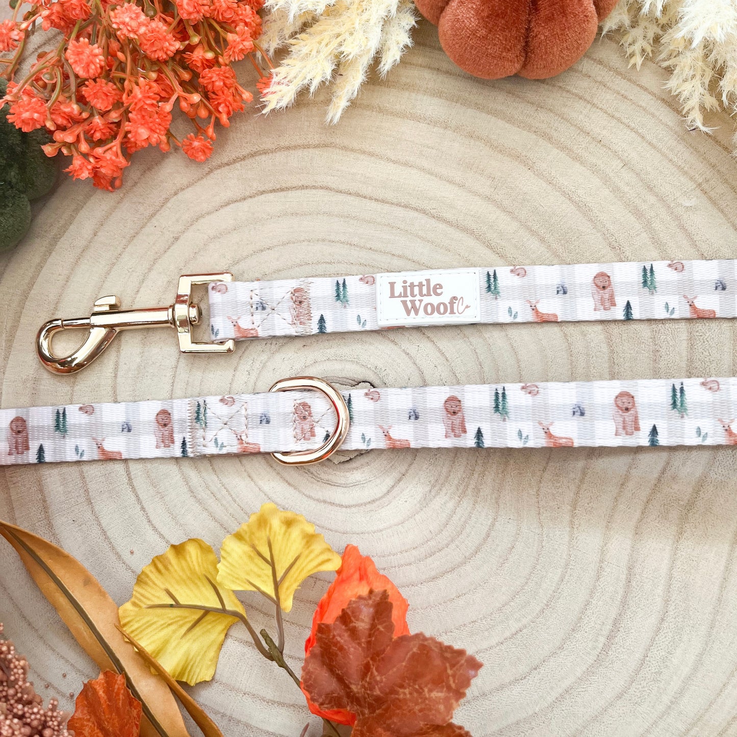 Woodland walkies - 4ft lead