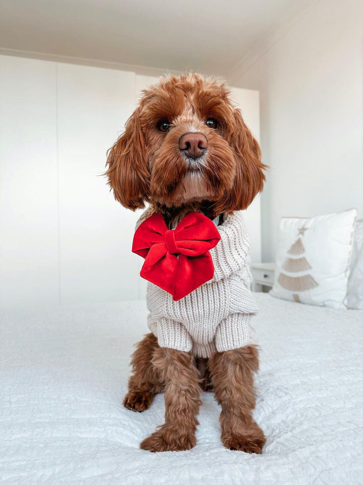 Red velvet sailor bow