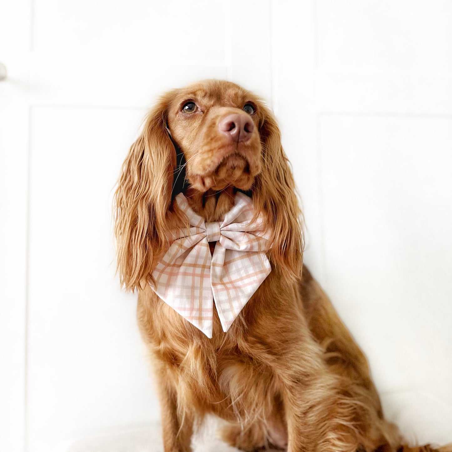 Easter plaid sailor bow