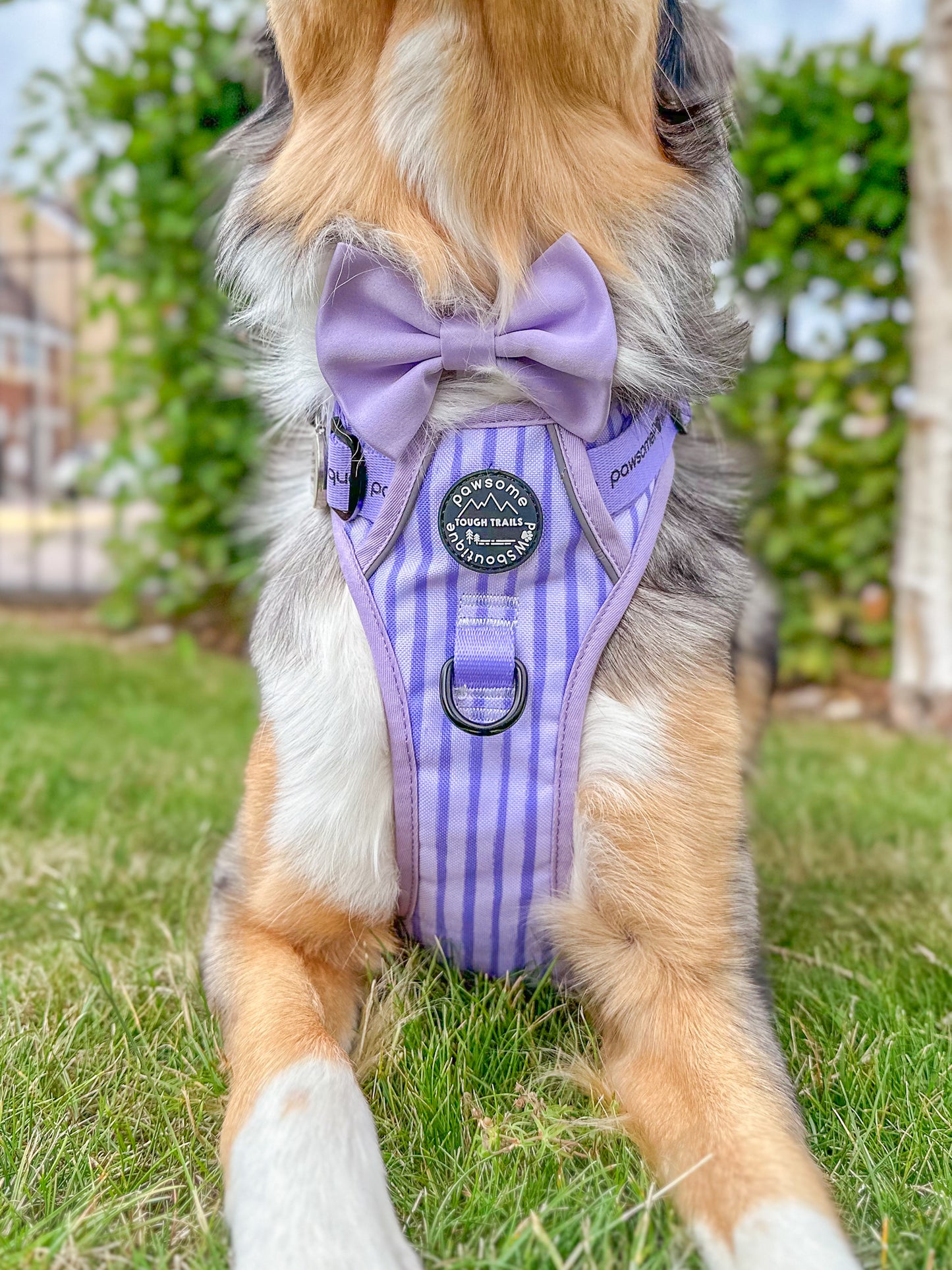 Lilac Satin bowtie