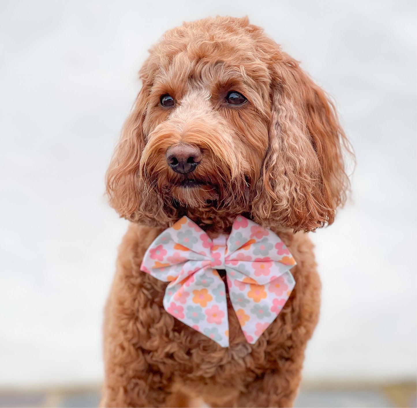 Pastel Petals Sailor Bow