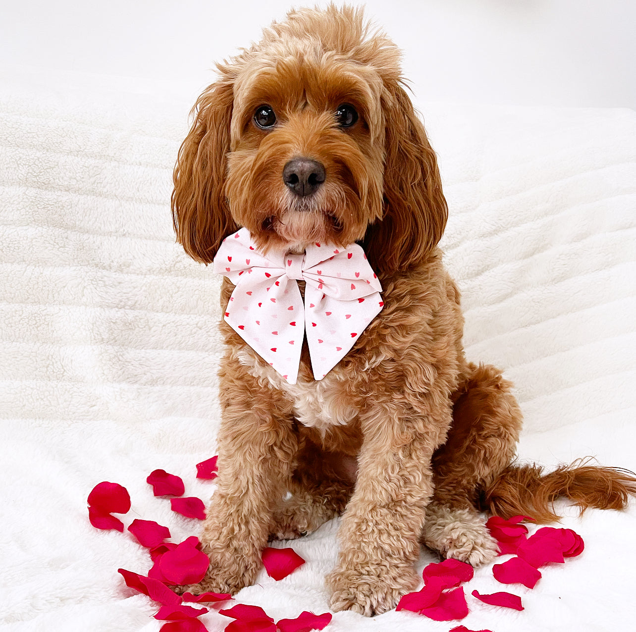 Love hearts sailor bow