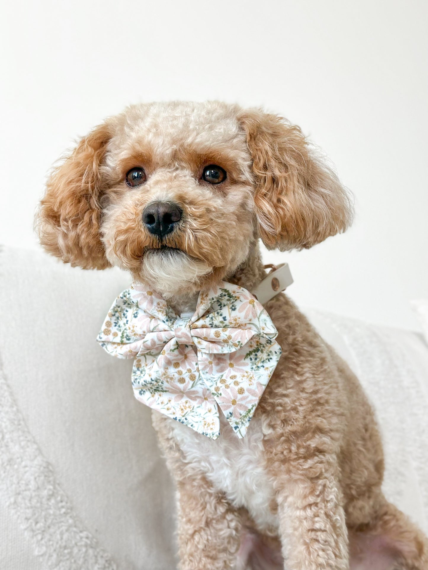 Petal Spring Sailor Bow
