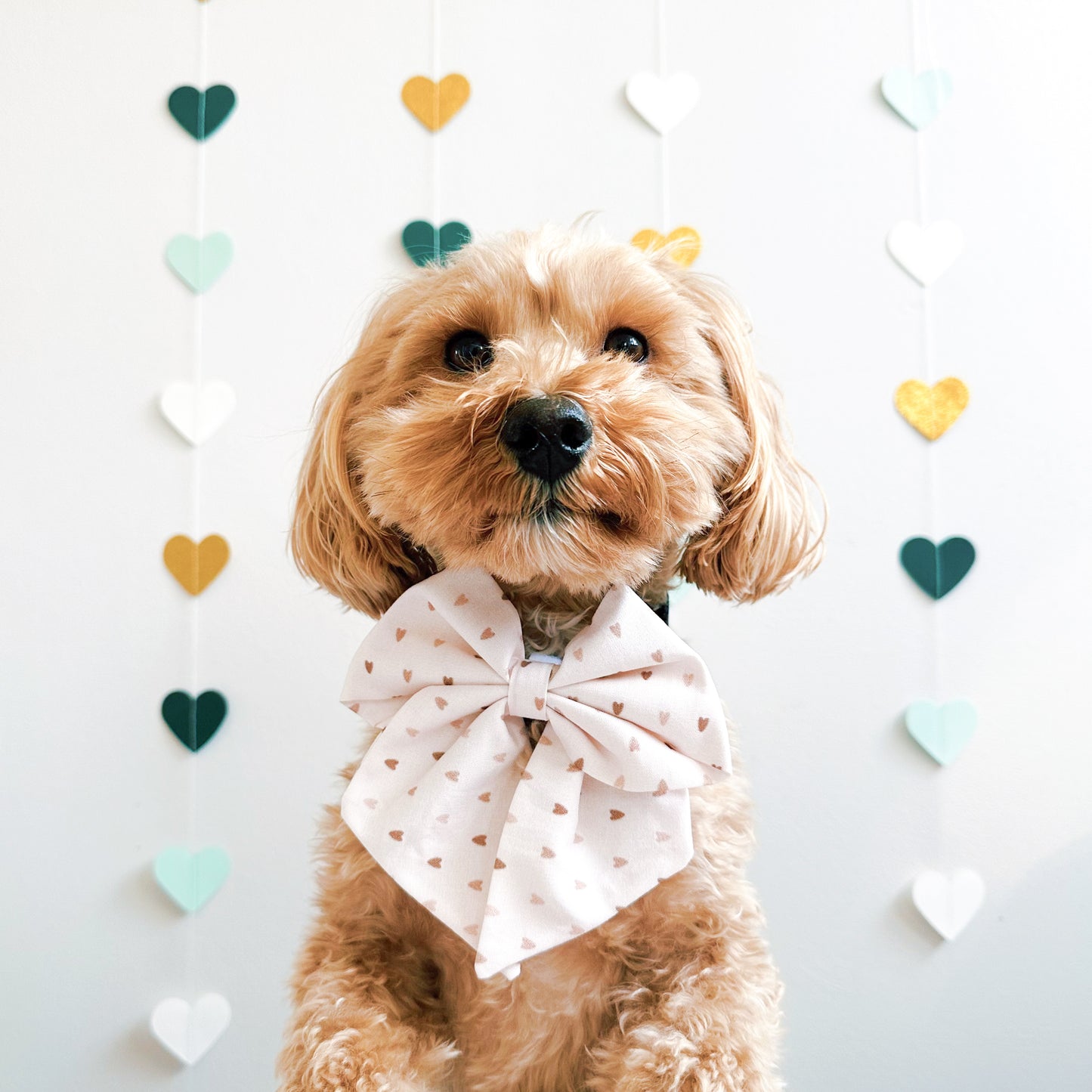Latte Love sailor bow
