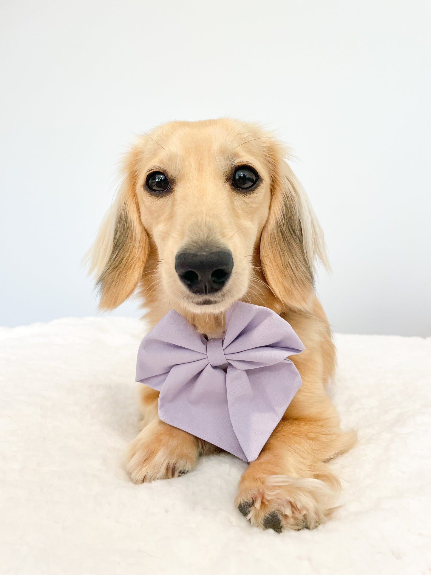 Lavender Haze purple Sailor Bow