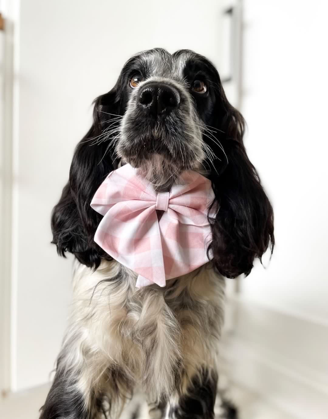 April Spring Sailor Bow