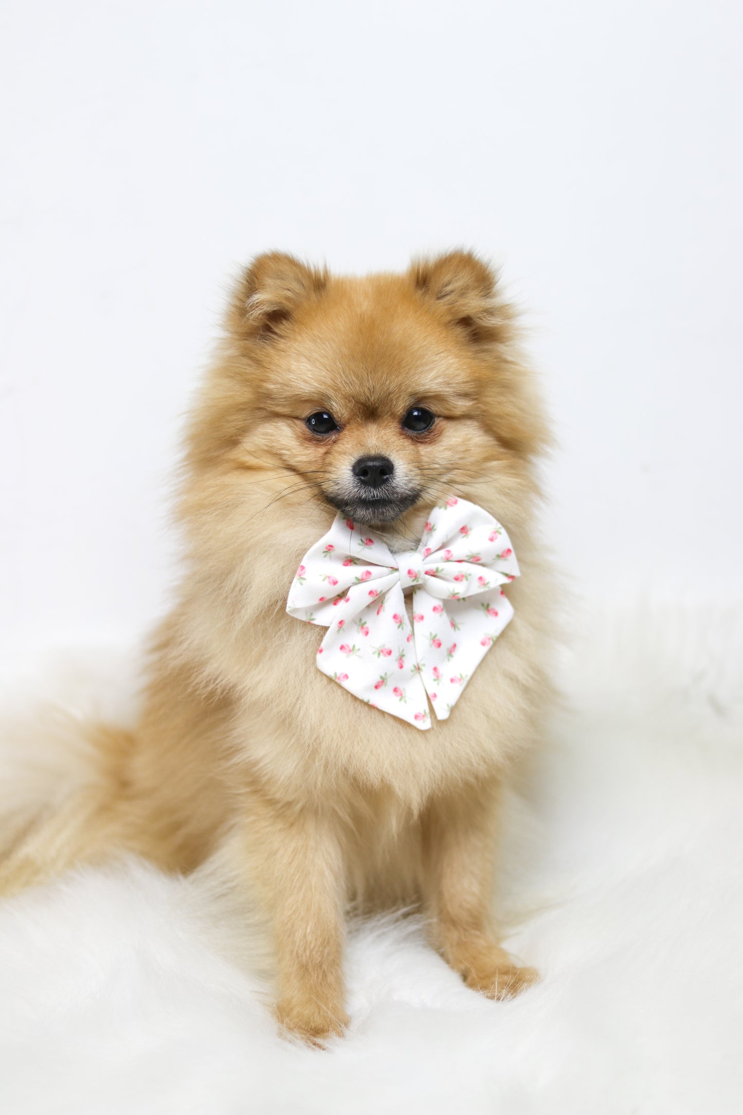 Rosalie sailor bow