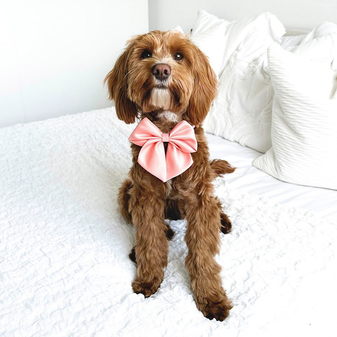 Clementine Satin Sailor Bow