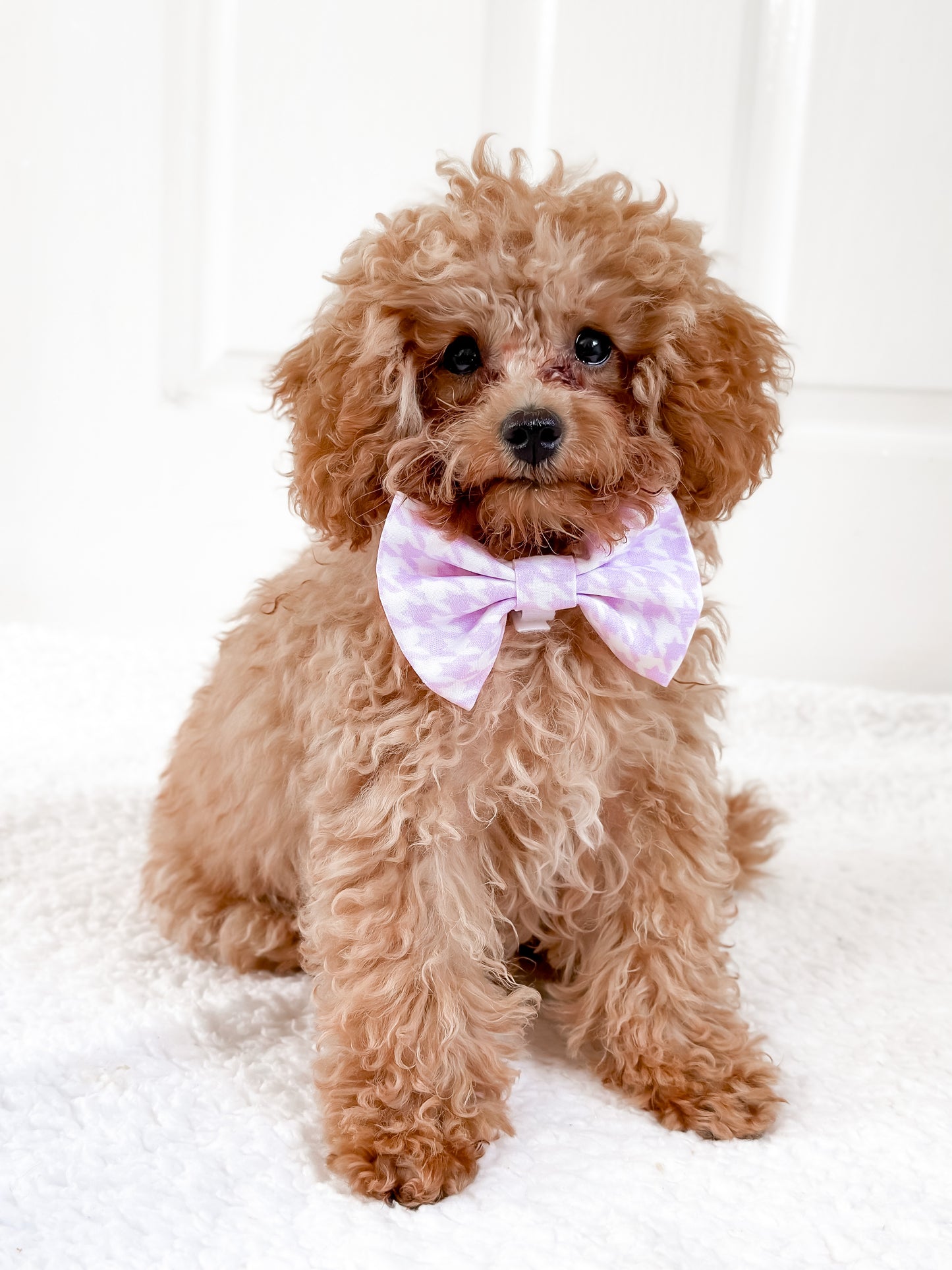 Wisteria Flower Bowtie